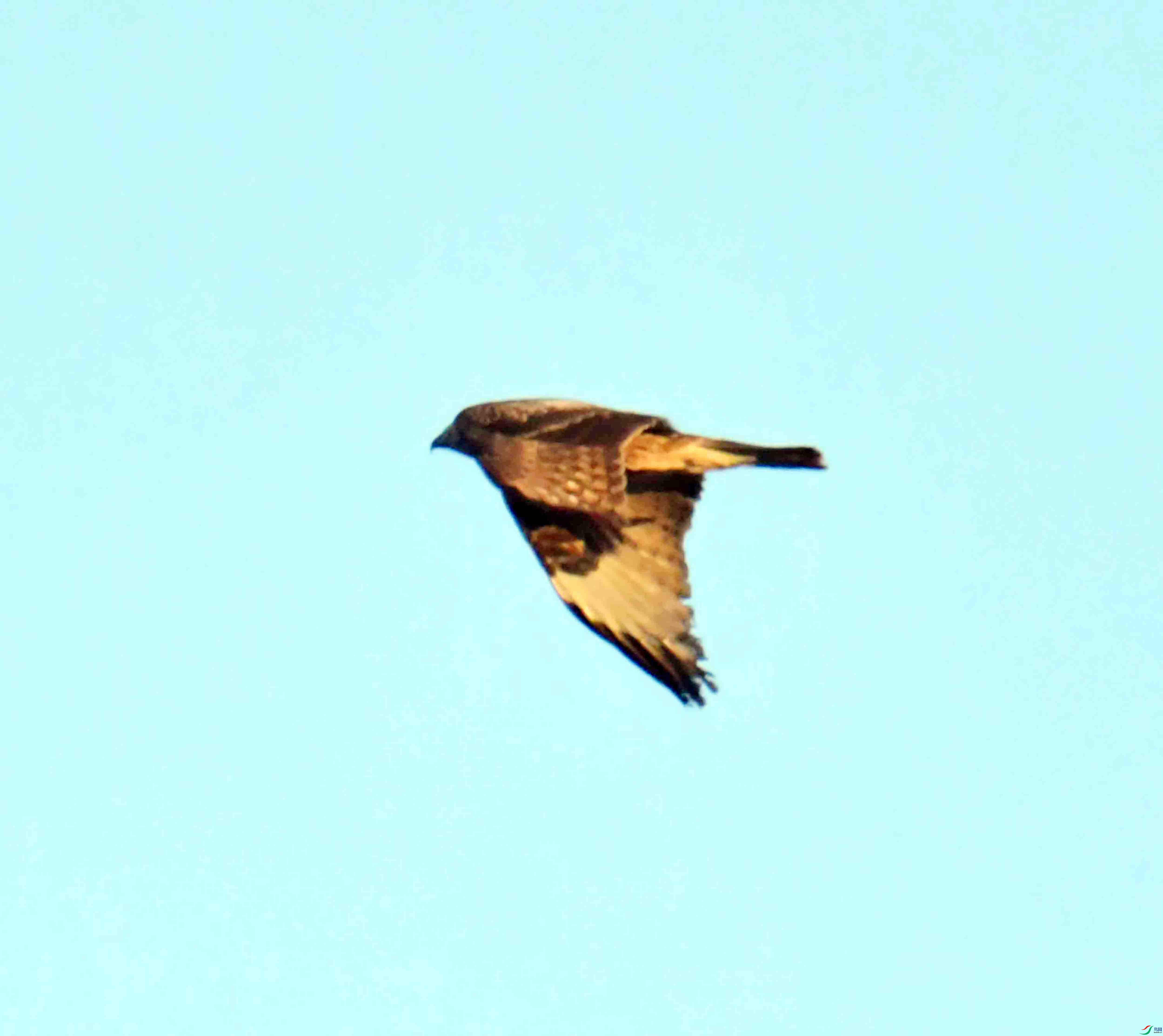 DSC_9453.JPG