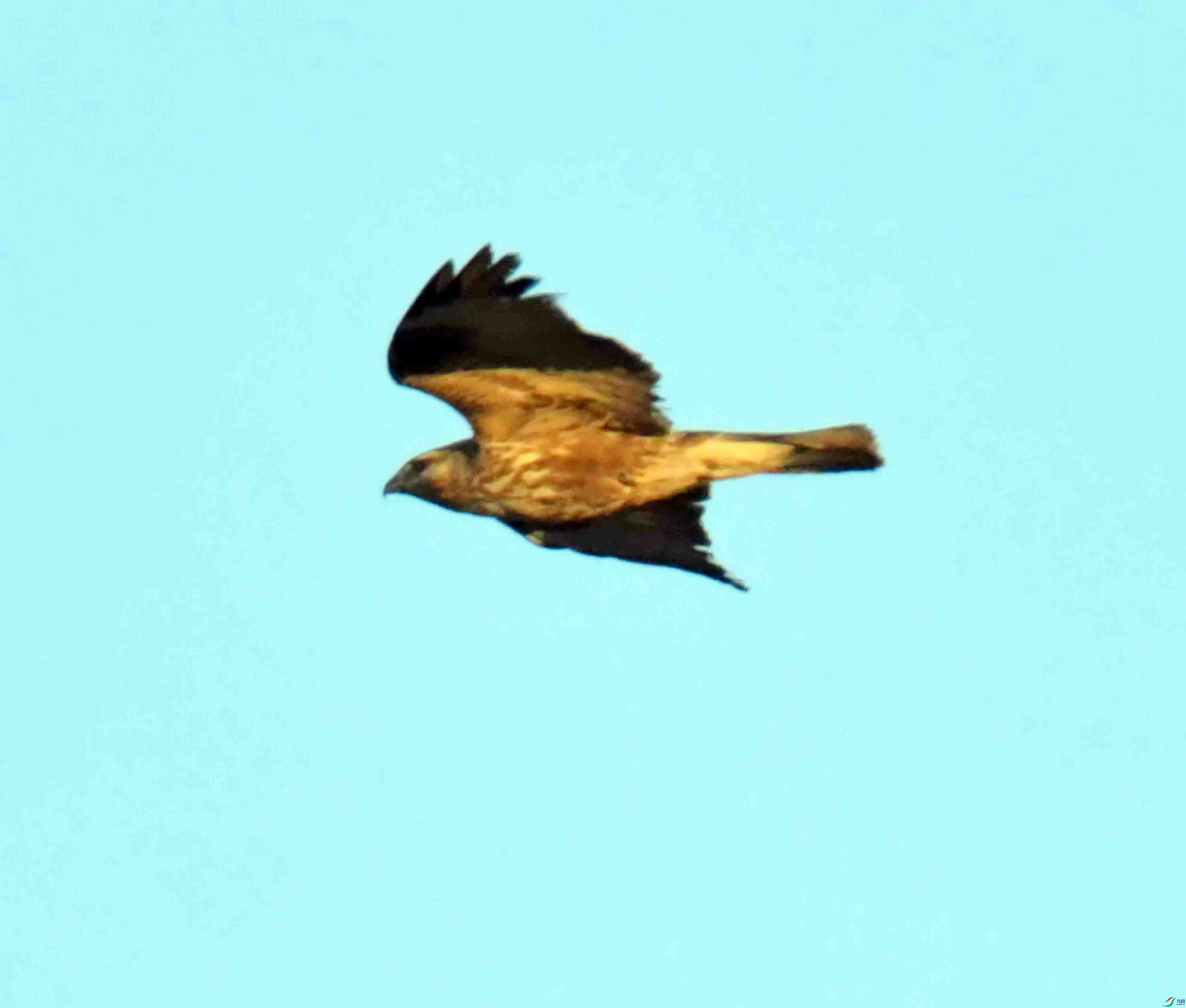 DSC_9456.JPG