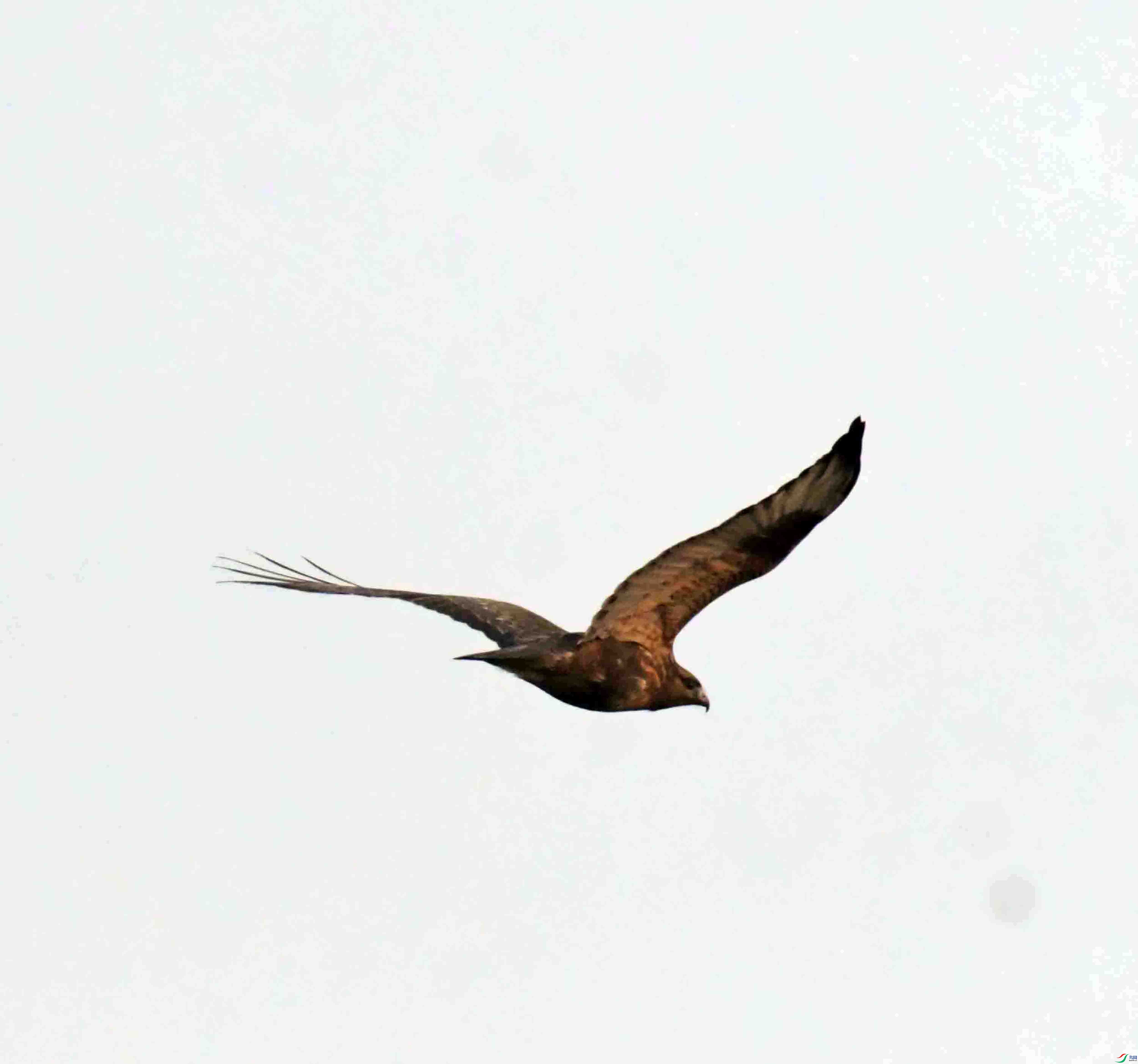 DSC_9710.JPG