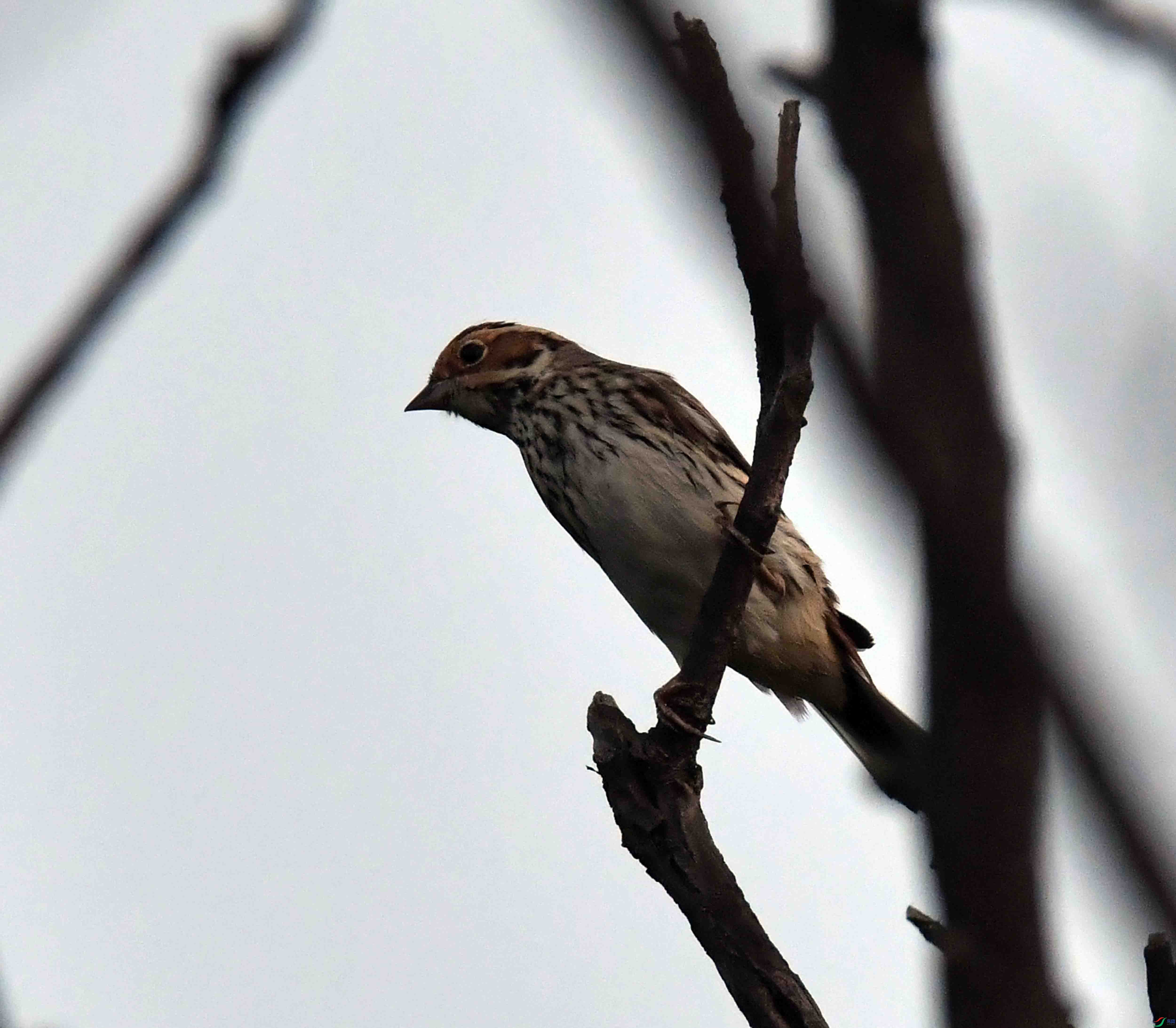 DSC_4091.JPG