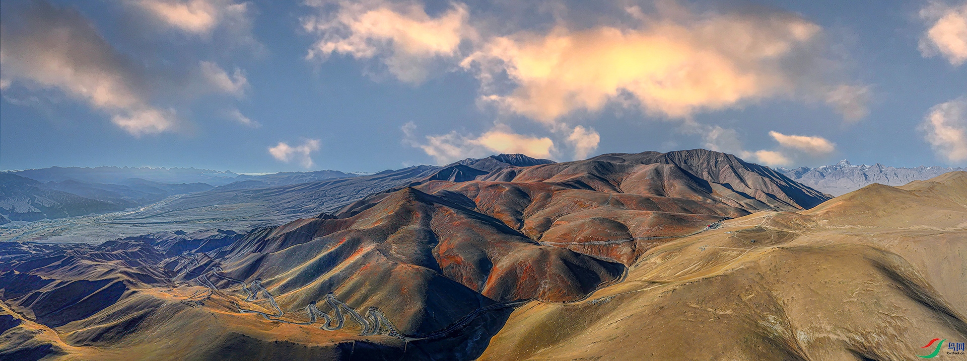 DJI_20230923101726_0181_D-Sh---1 .jpg