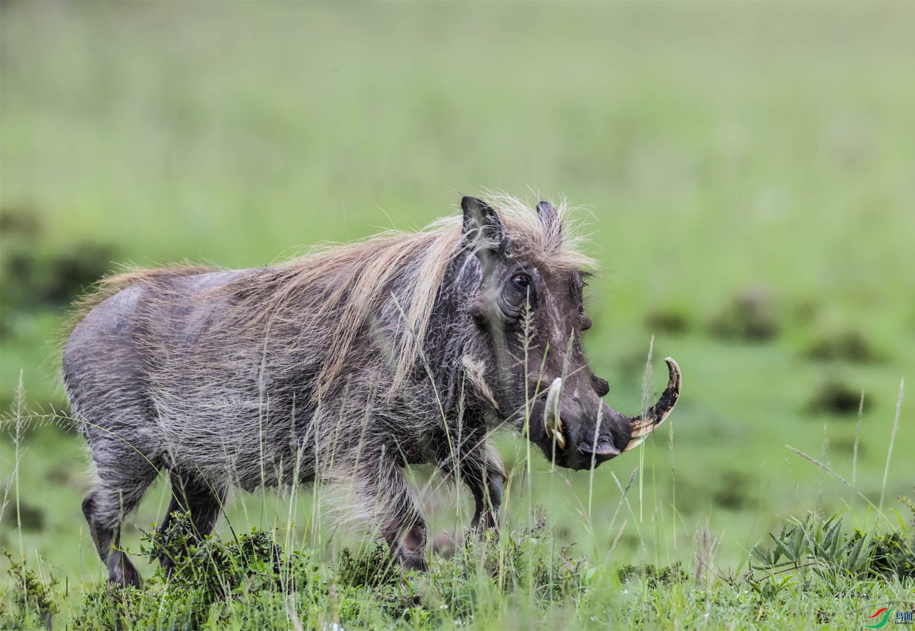 ��һ￴�ž��ף��������� ����.jpg