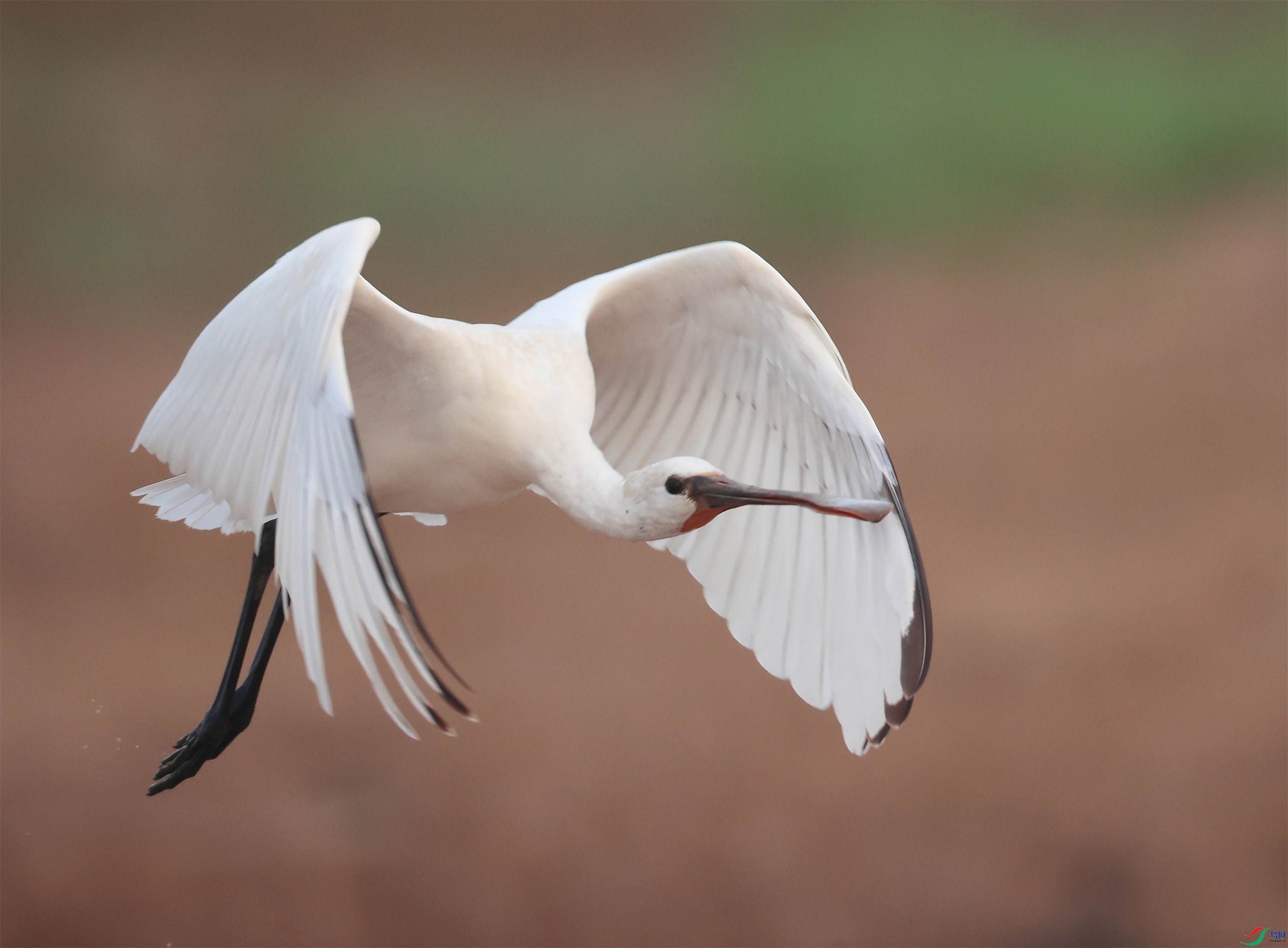 5 - ���� (3).JPG