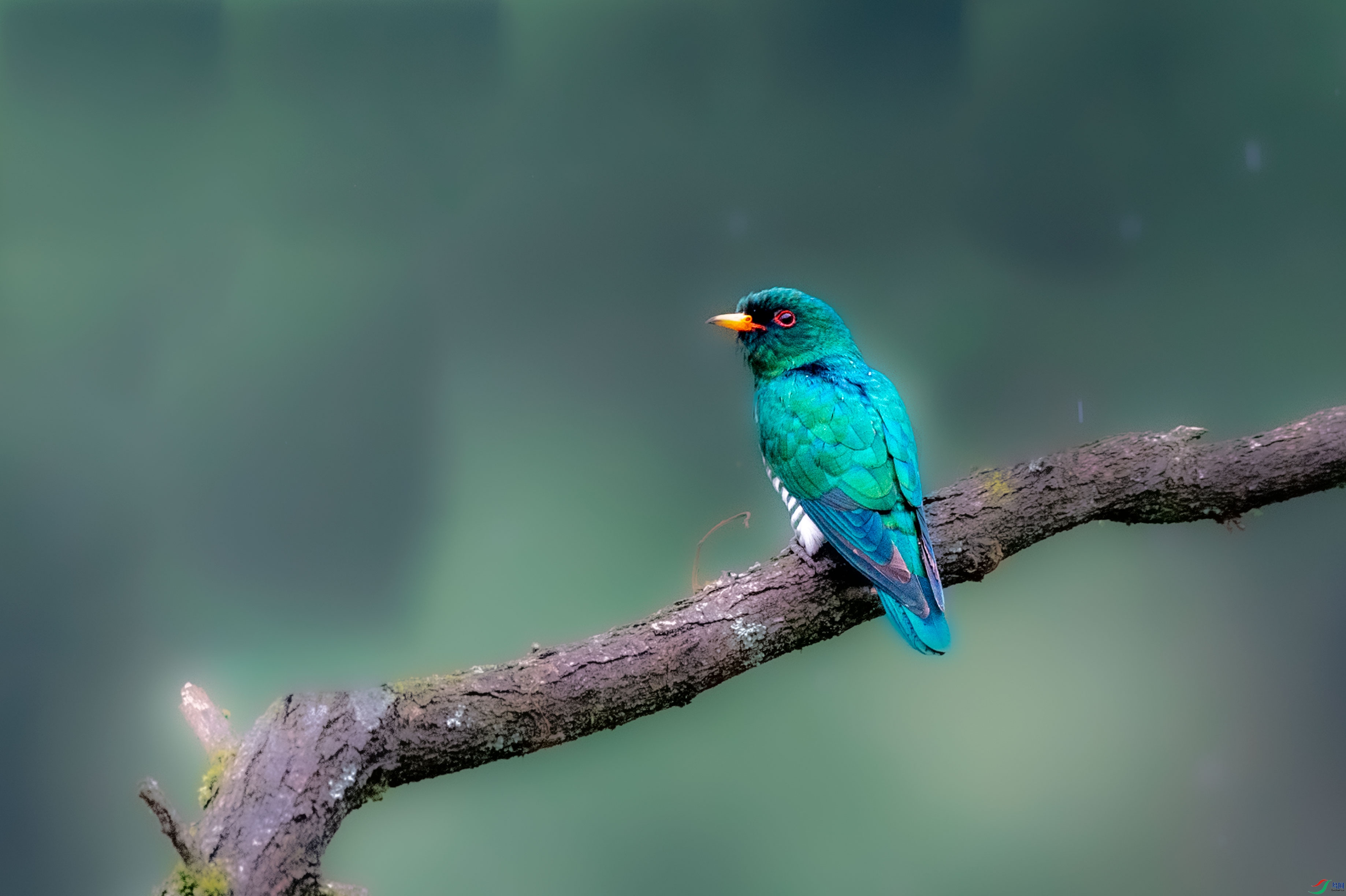 AAE_0077.jpg