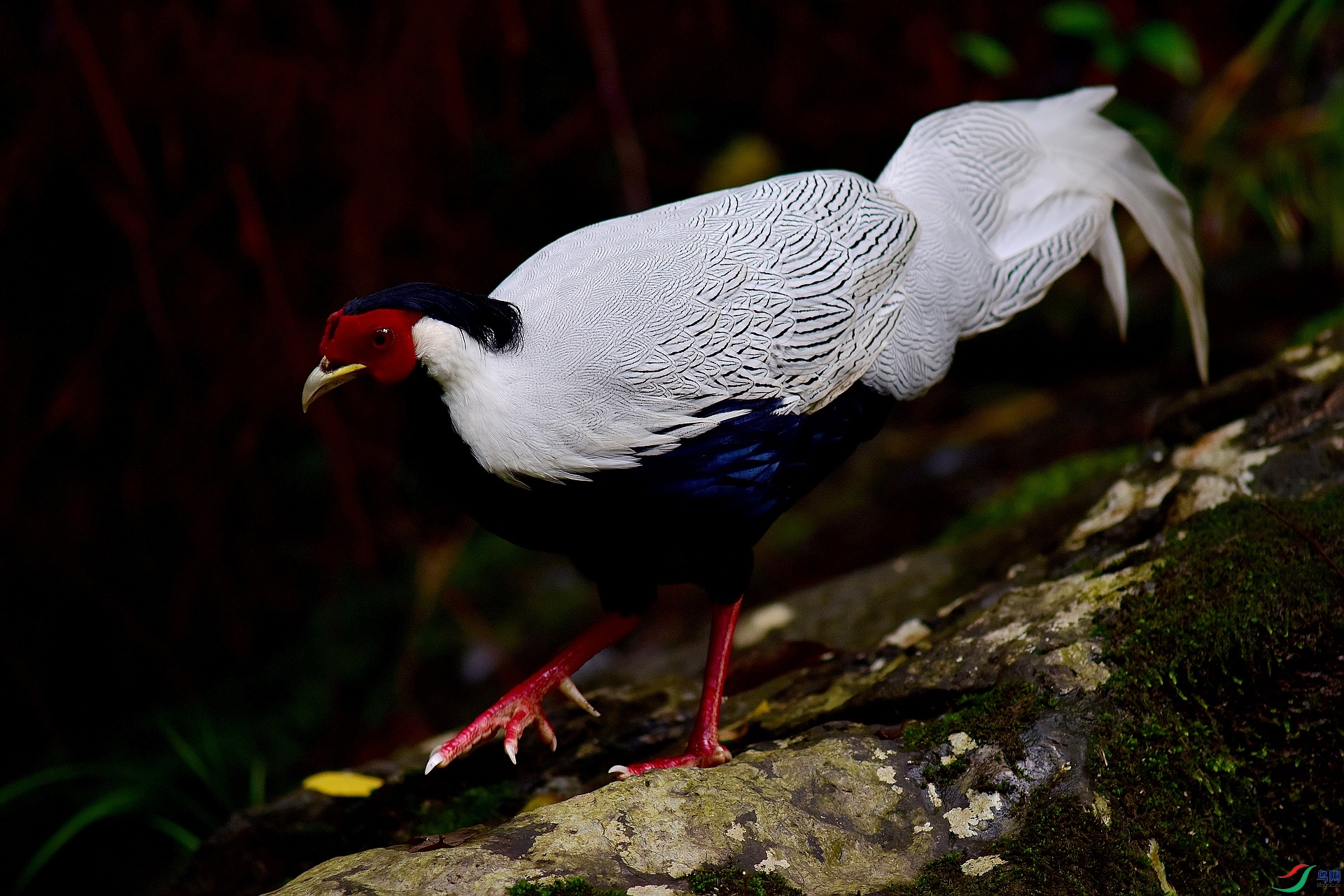 D8I_5685.jpg