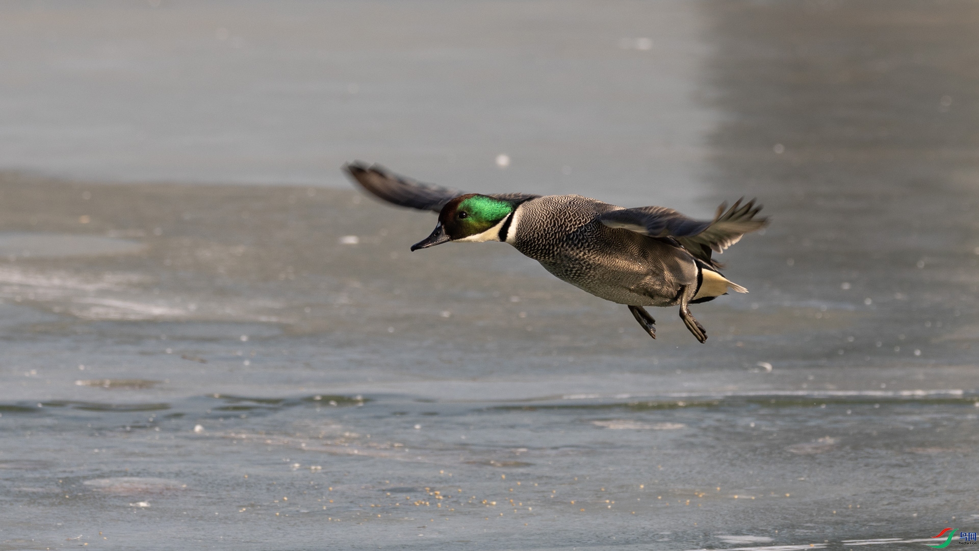 a_303120.jpg