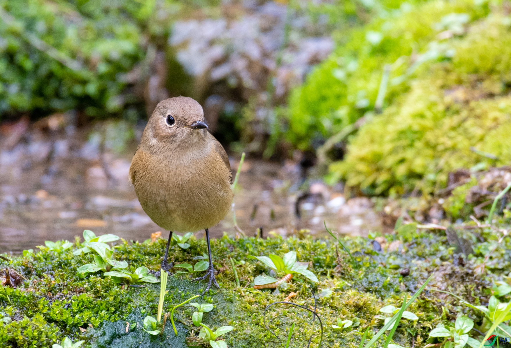 DSC_2579.jpg