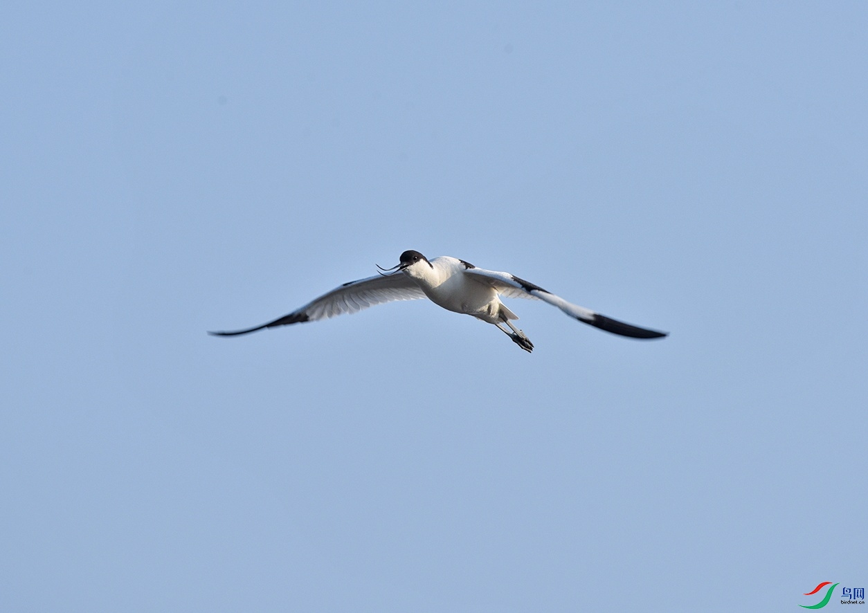 DSC_5917.jpg
