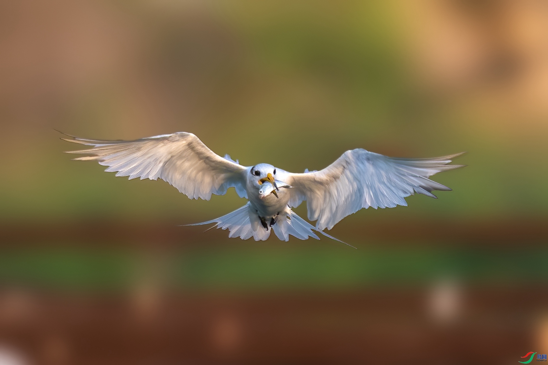 20230926���л���ͷ��Ÿ������ɩ ��ҳ����.jpg