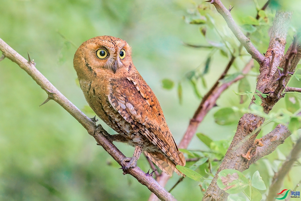 20230926��Ұ�ĺ���^����Խ��  ��ҳ���� .jpg