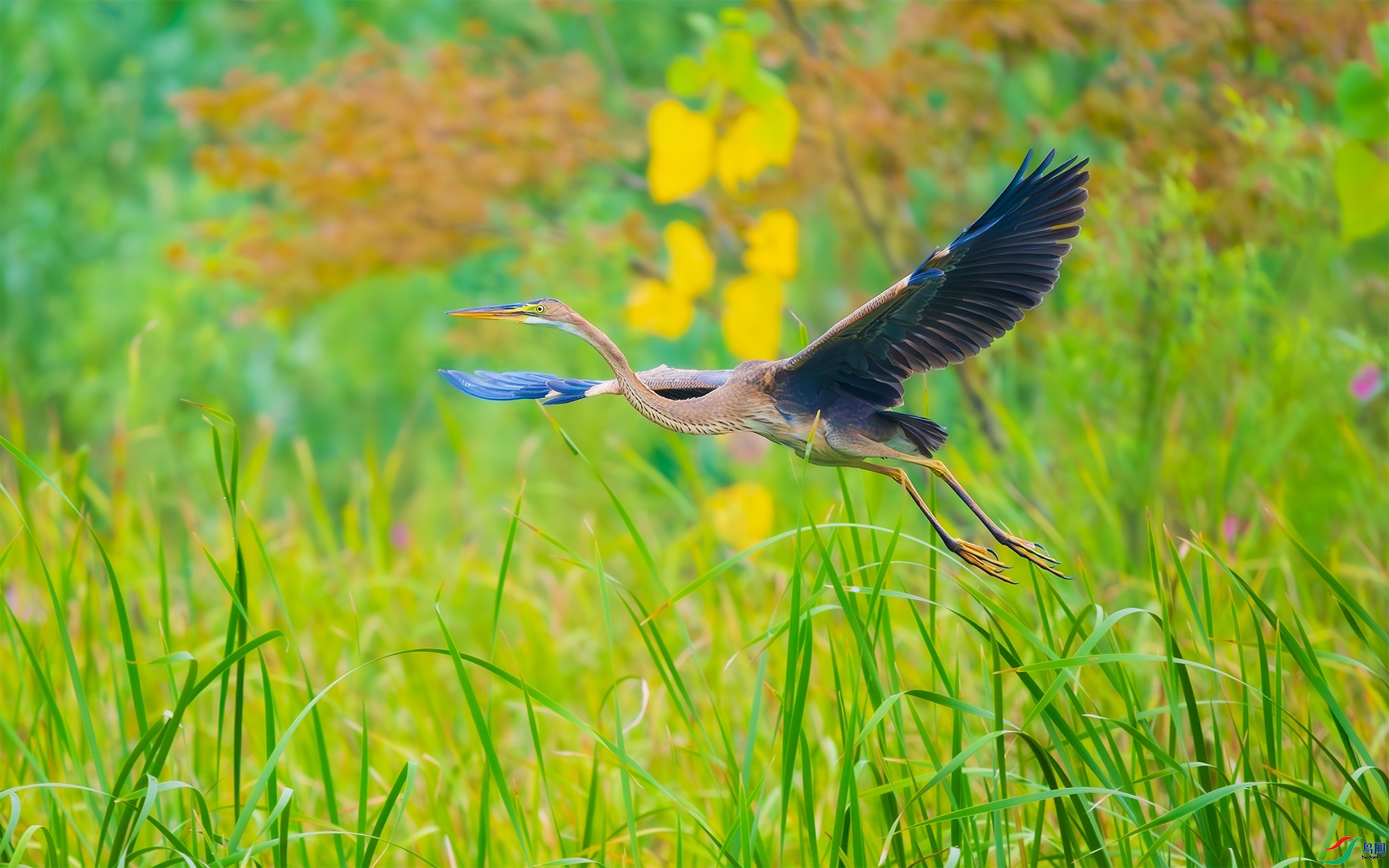 20230928�����طɡ�����һ�� ÿ�ռ���.jpg