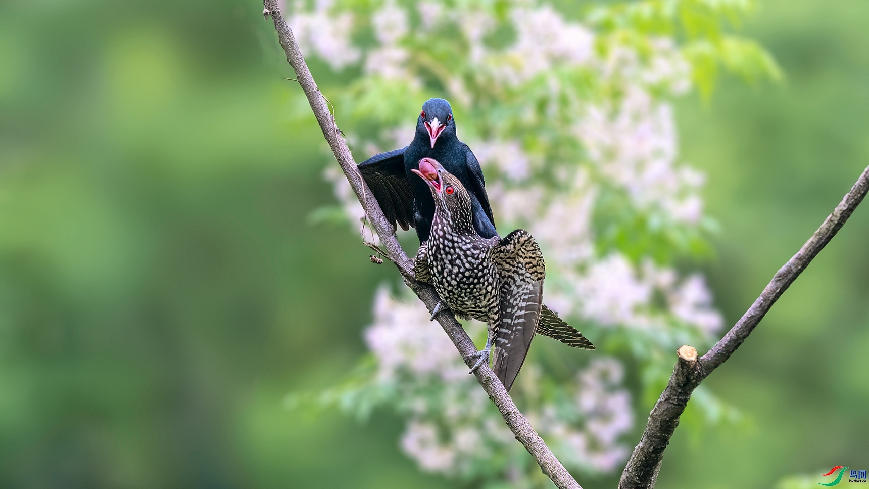 20230928���������ޡ���ʳ���� ��ҳ����.jpg