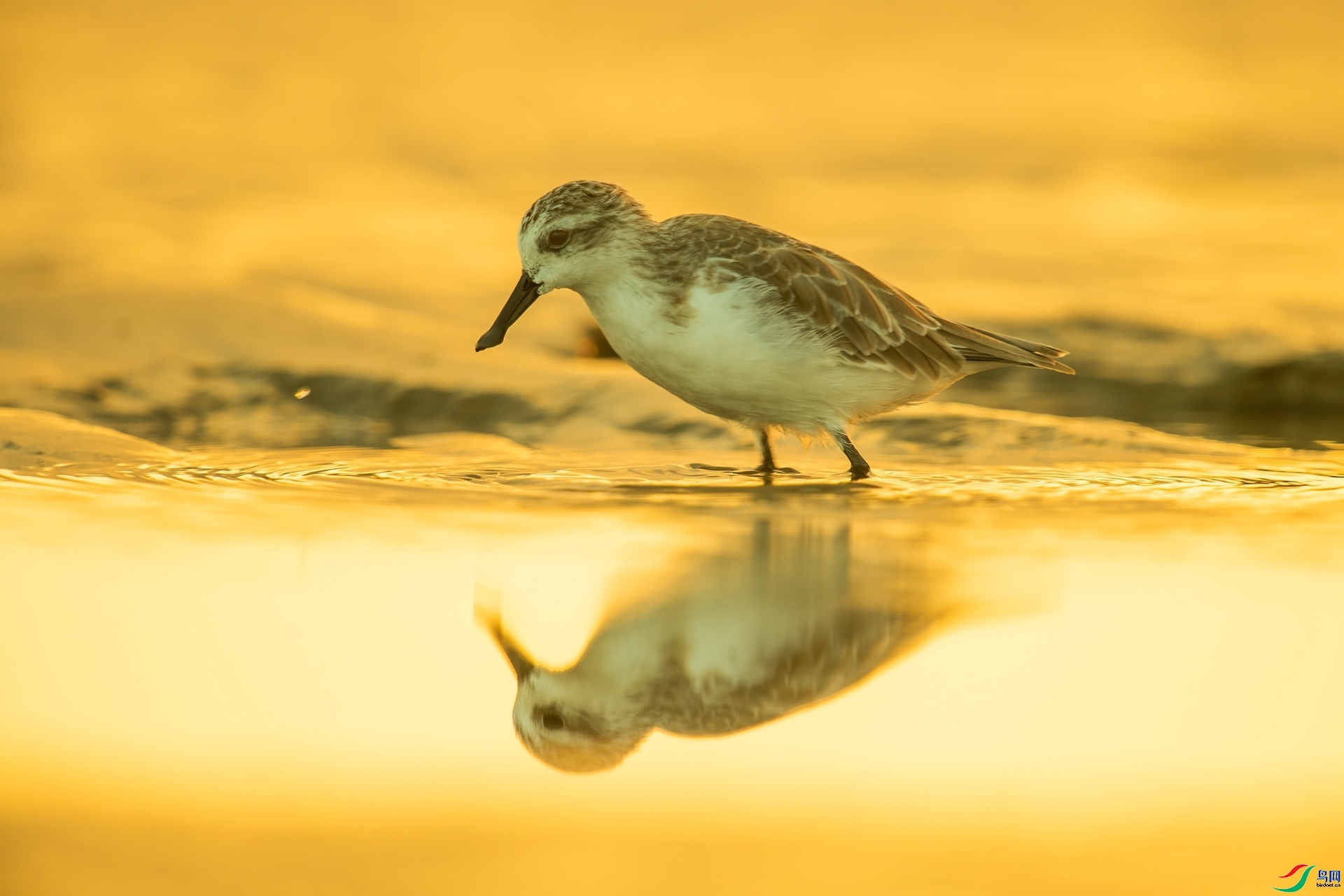 20230929��С���� ������֡�����ɩ ÿ�ռ��� .jpg