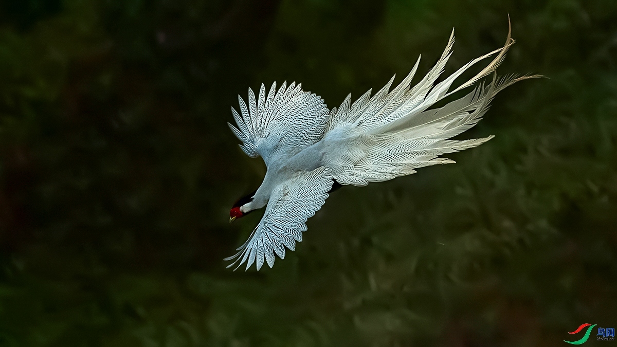 20230929�����¡������� ��ҳ���� .jpg