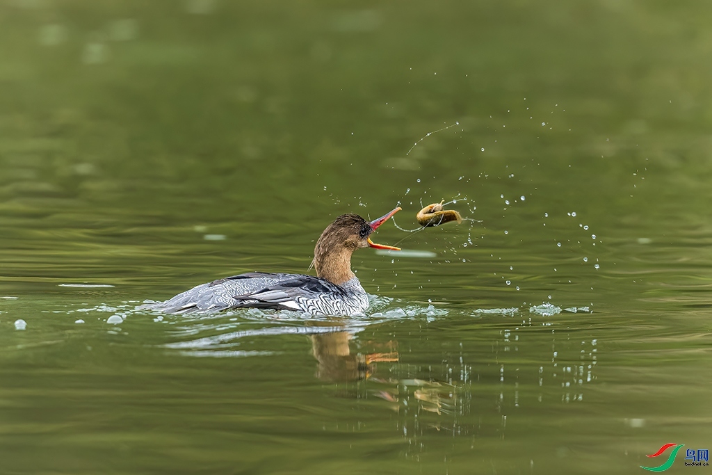 20230930��Ѽ�����ա�������ʿ ��ҳ����.jpg