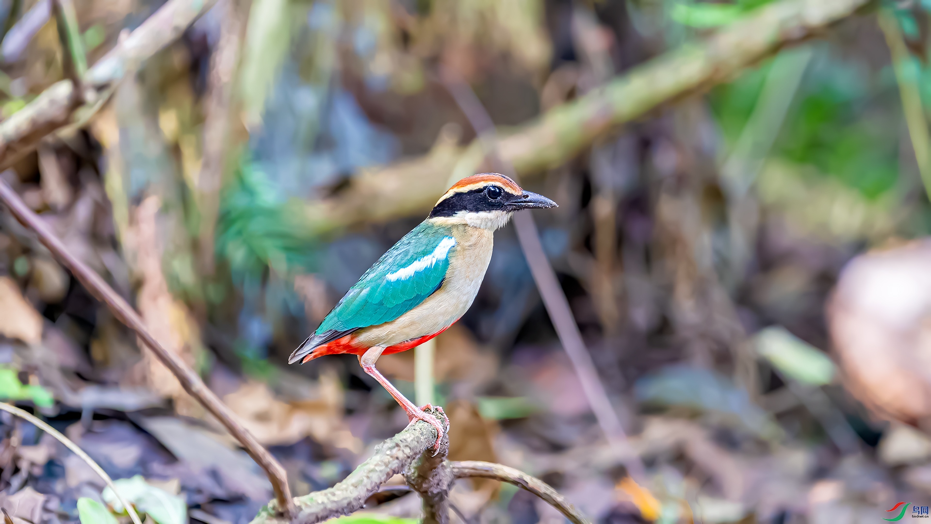 _DSC7664.jpg