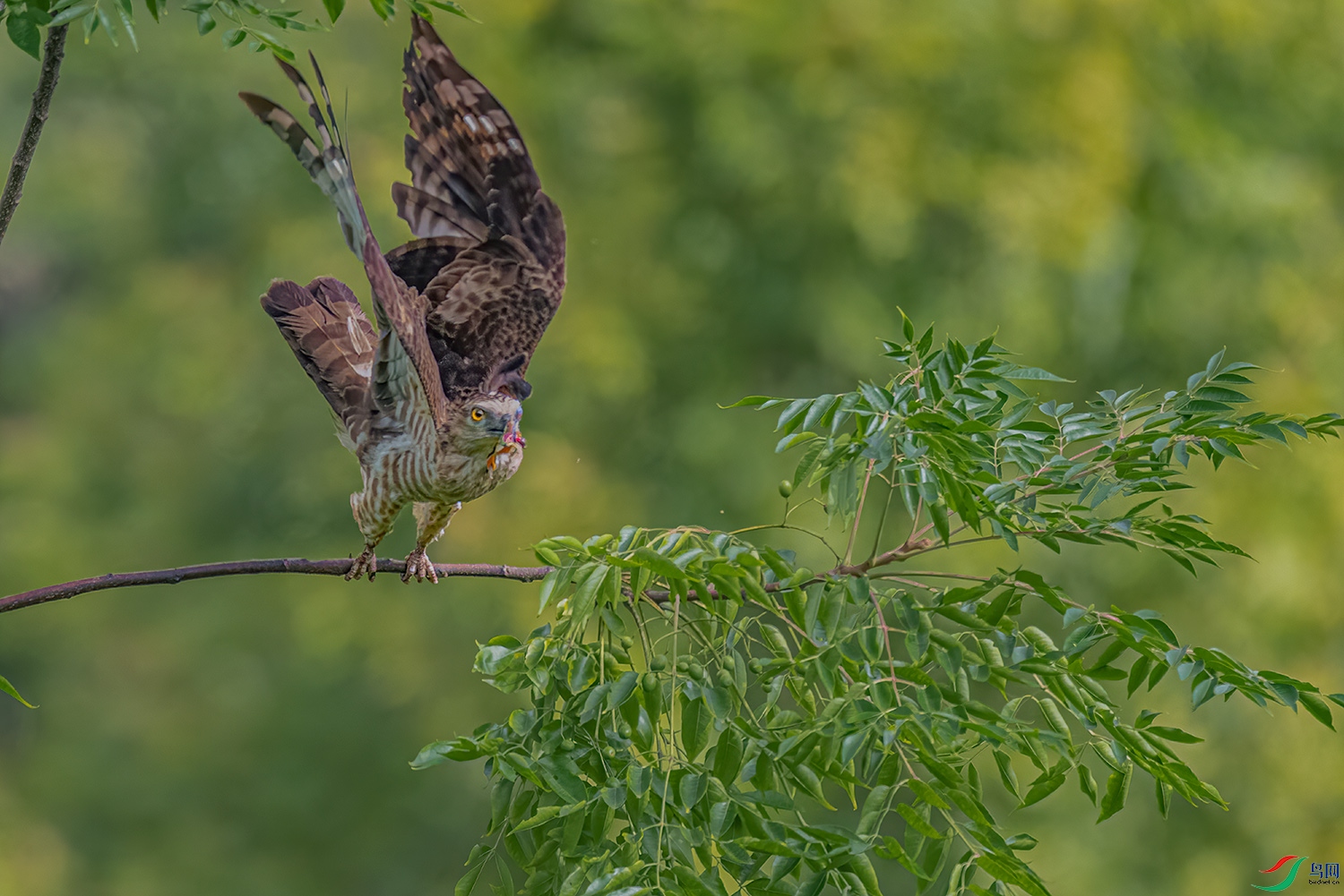 _DSC6865-1.jpg