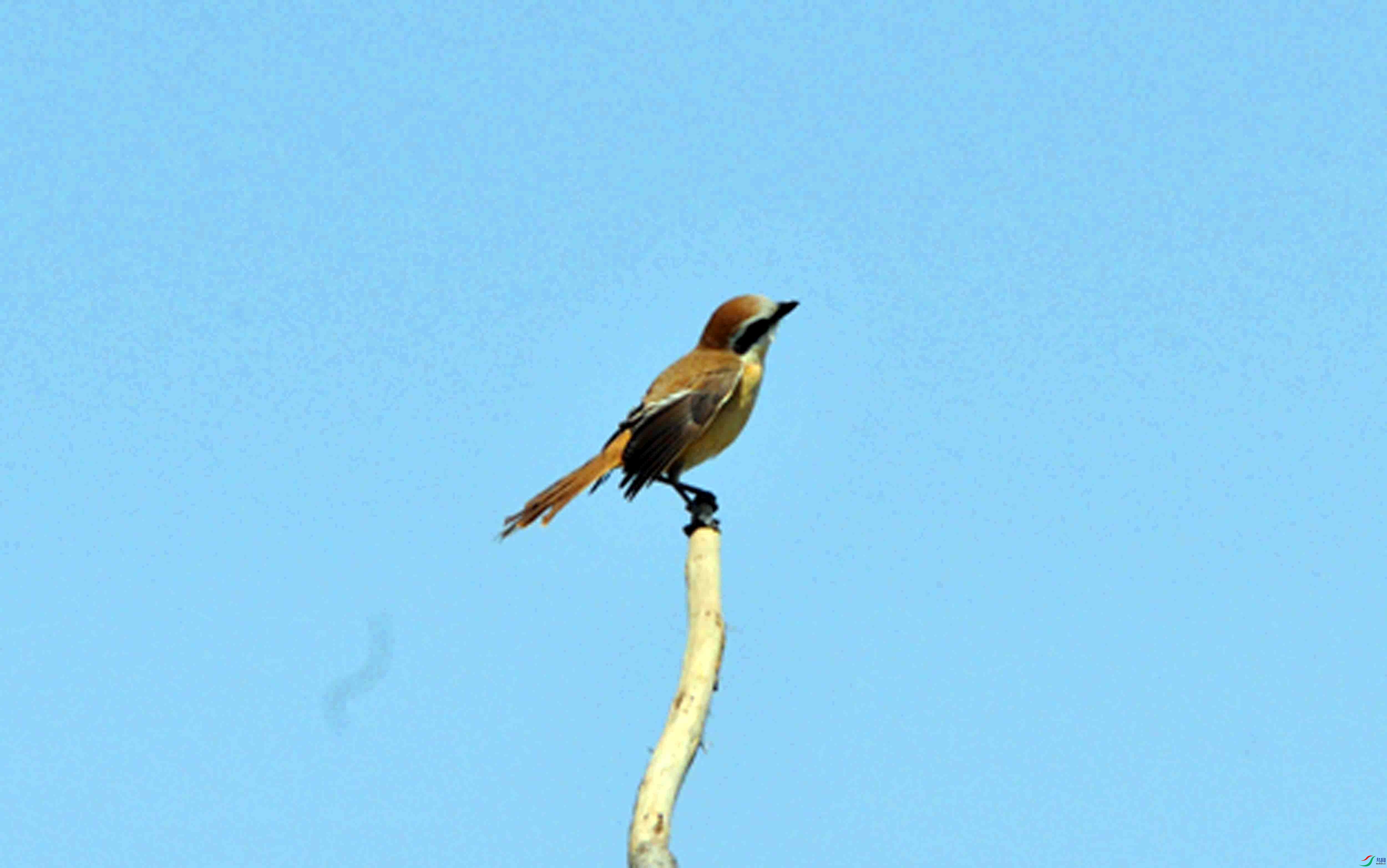 DSC_9561.JPG