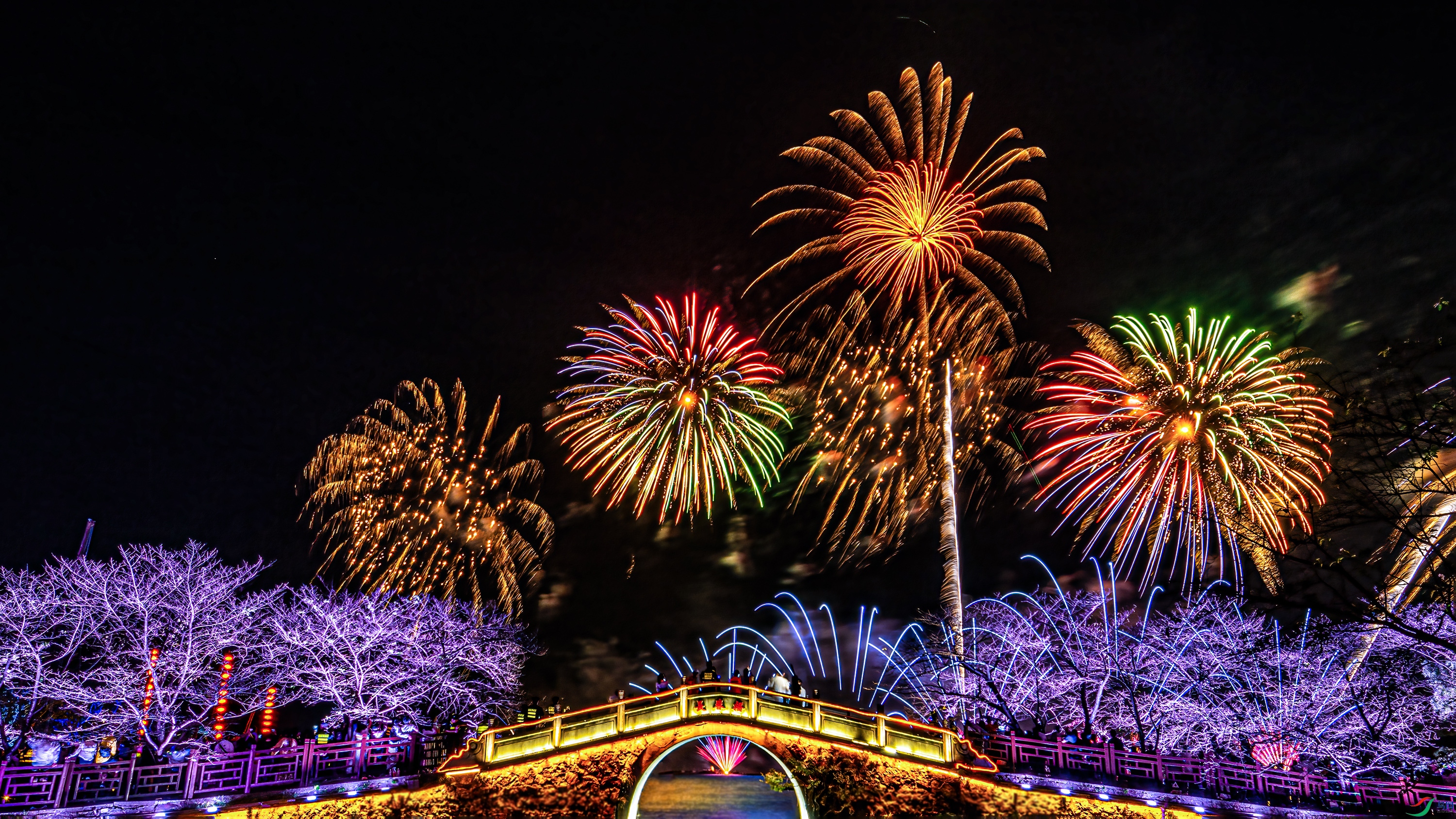 DSC_1021  ���� ����(Сͼ��.jpg