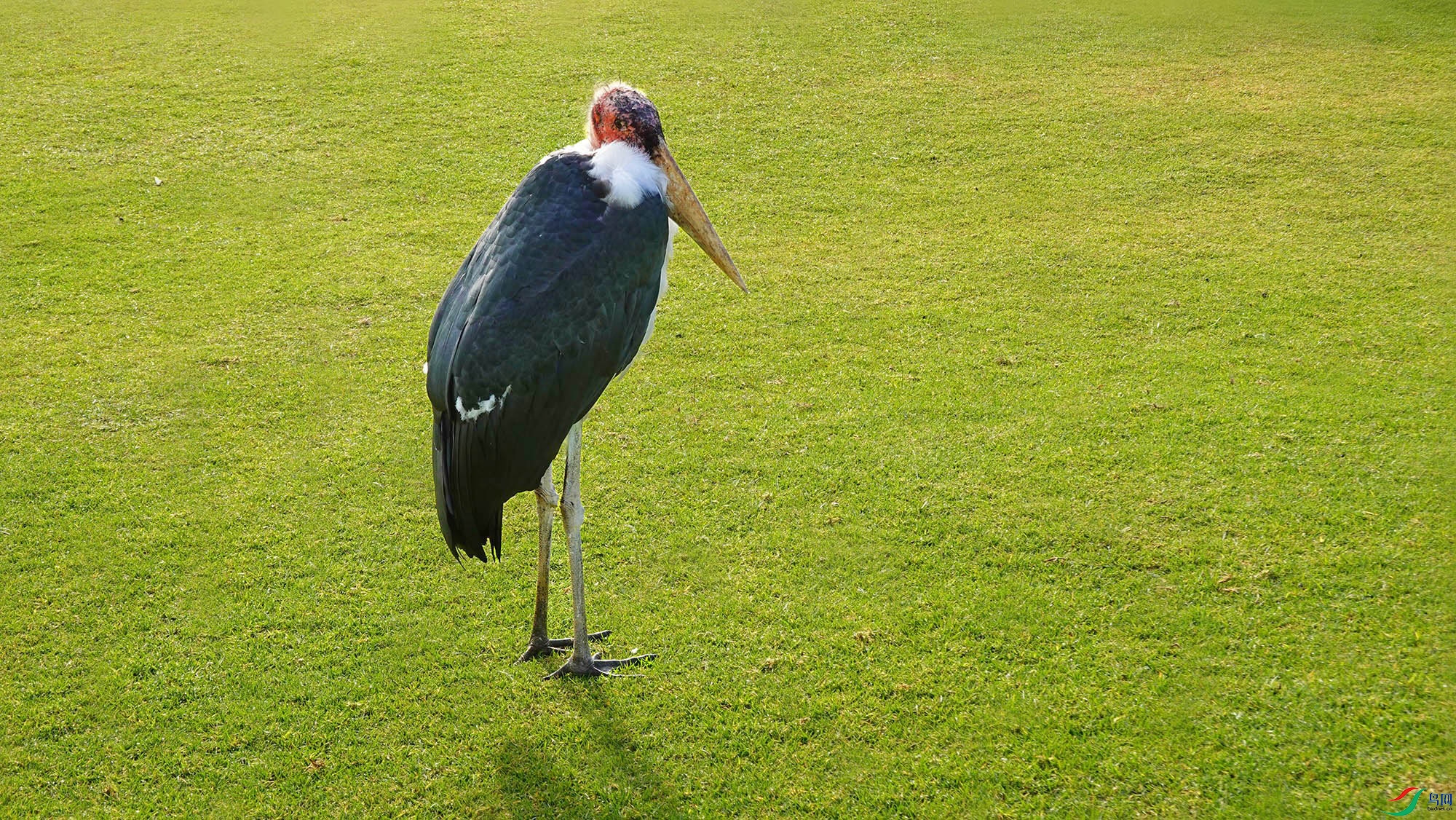 DSC05812_.jpg