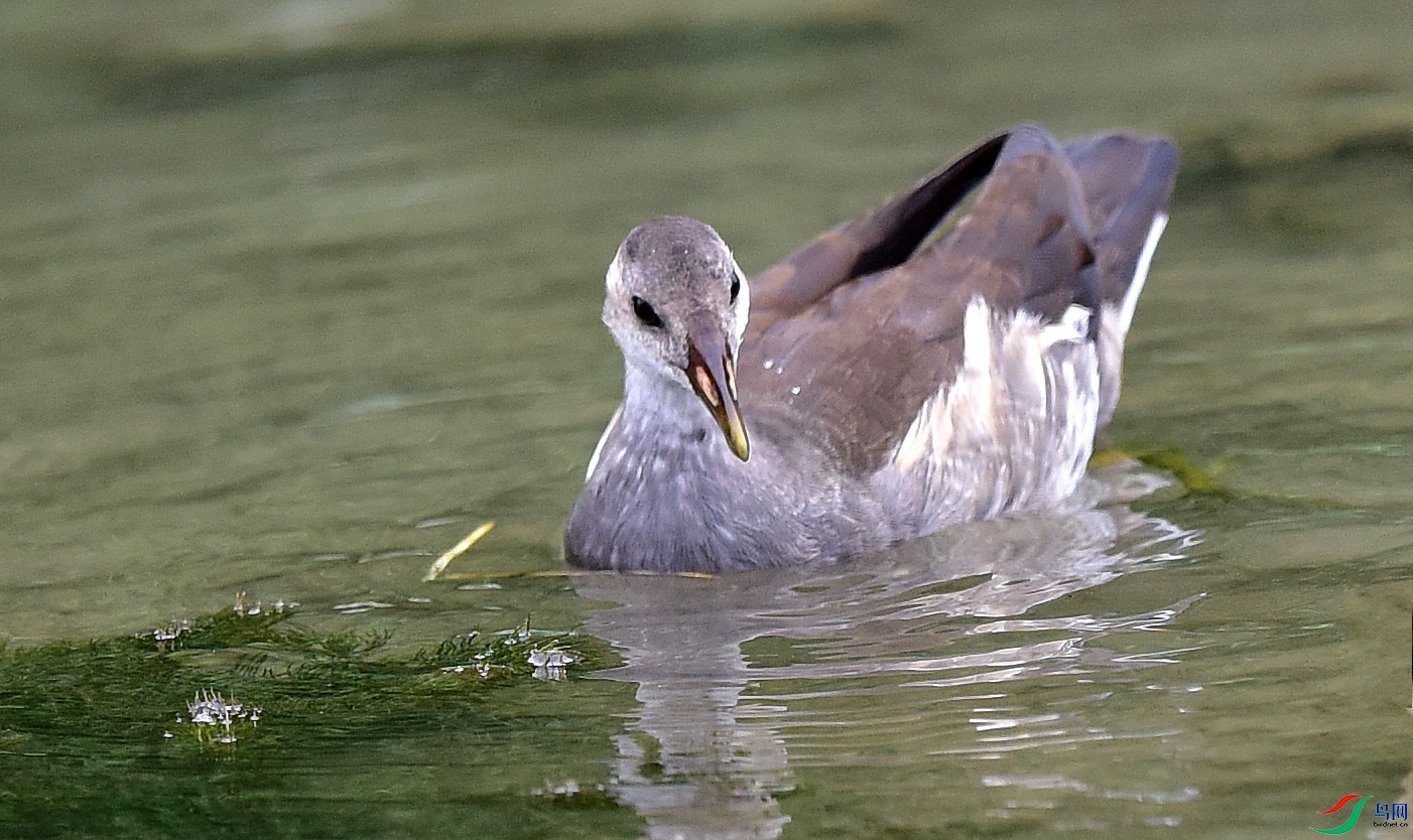 DSC_9781_conew2.jpg