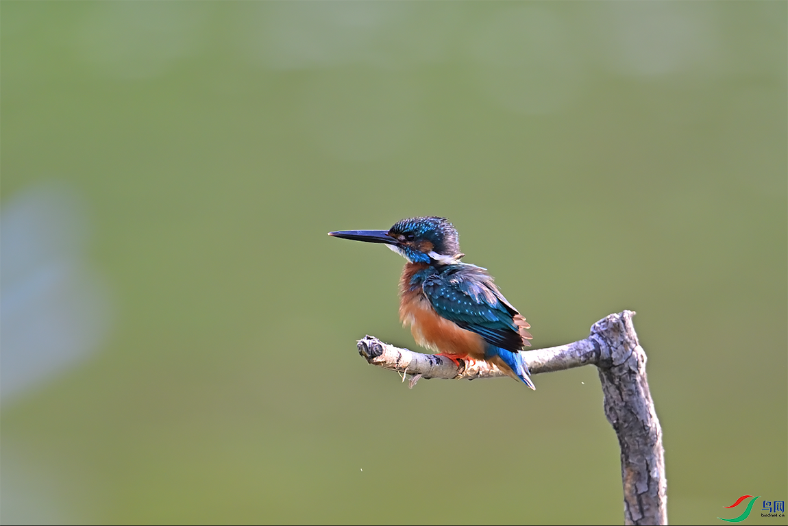 ����2023-10-03 ����12.05.05.png