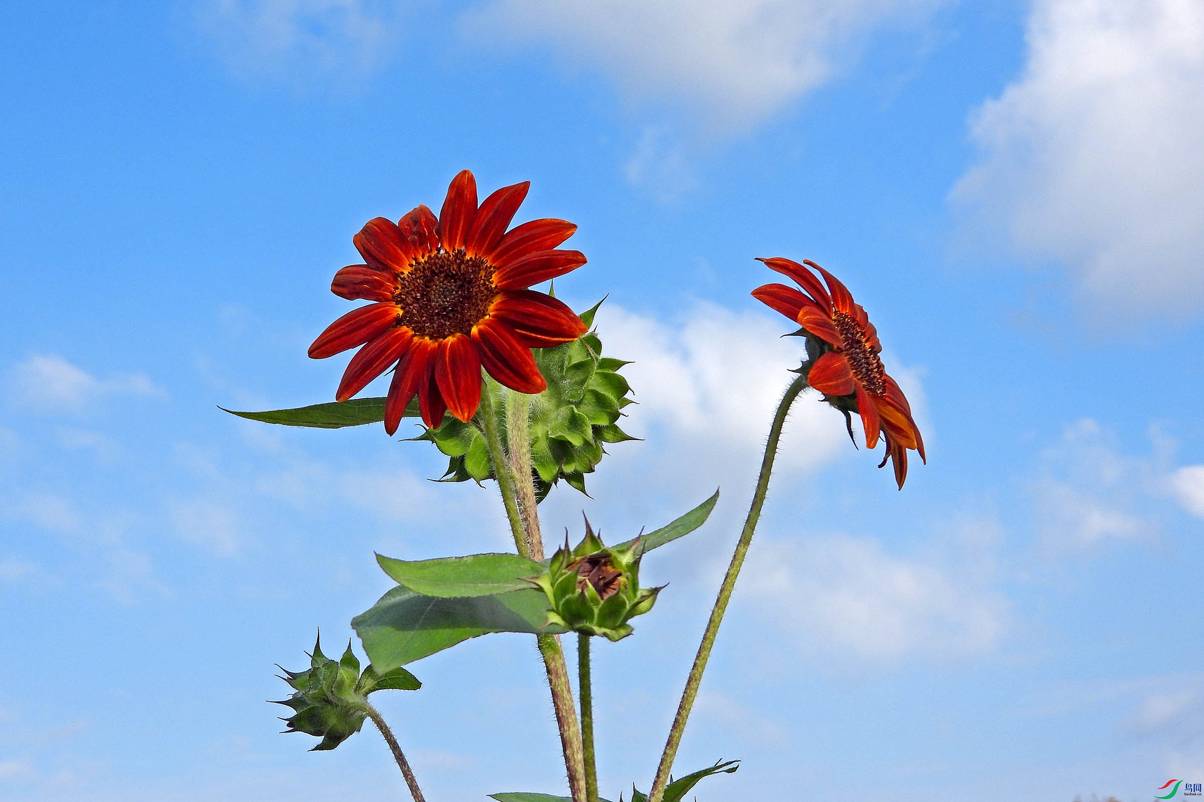 DSCN1423.JPG