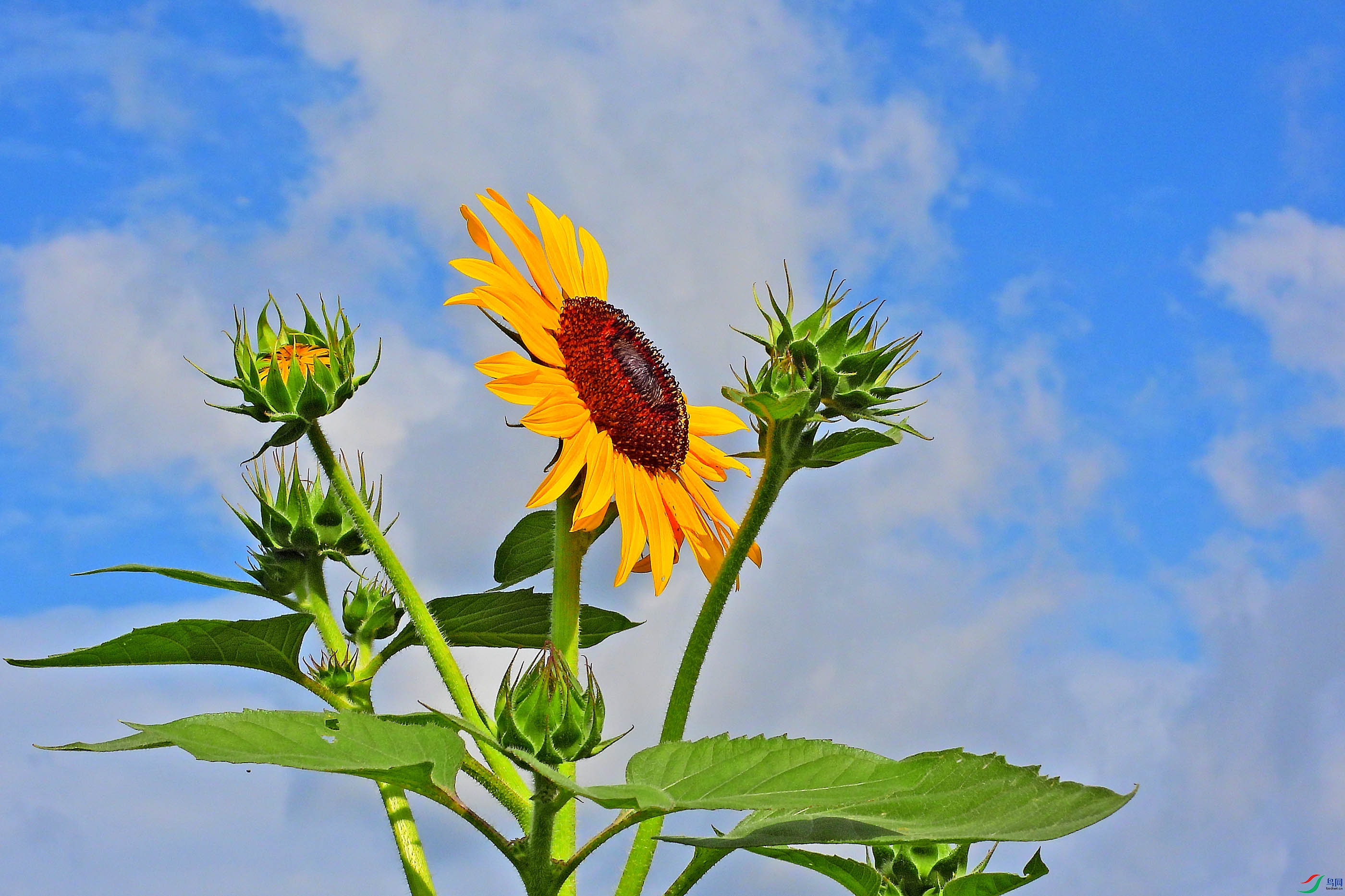 DSCN1456.JPG