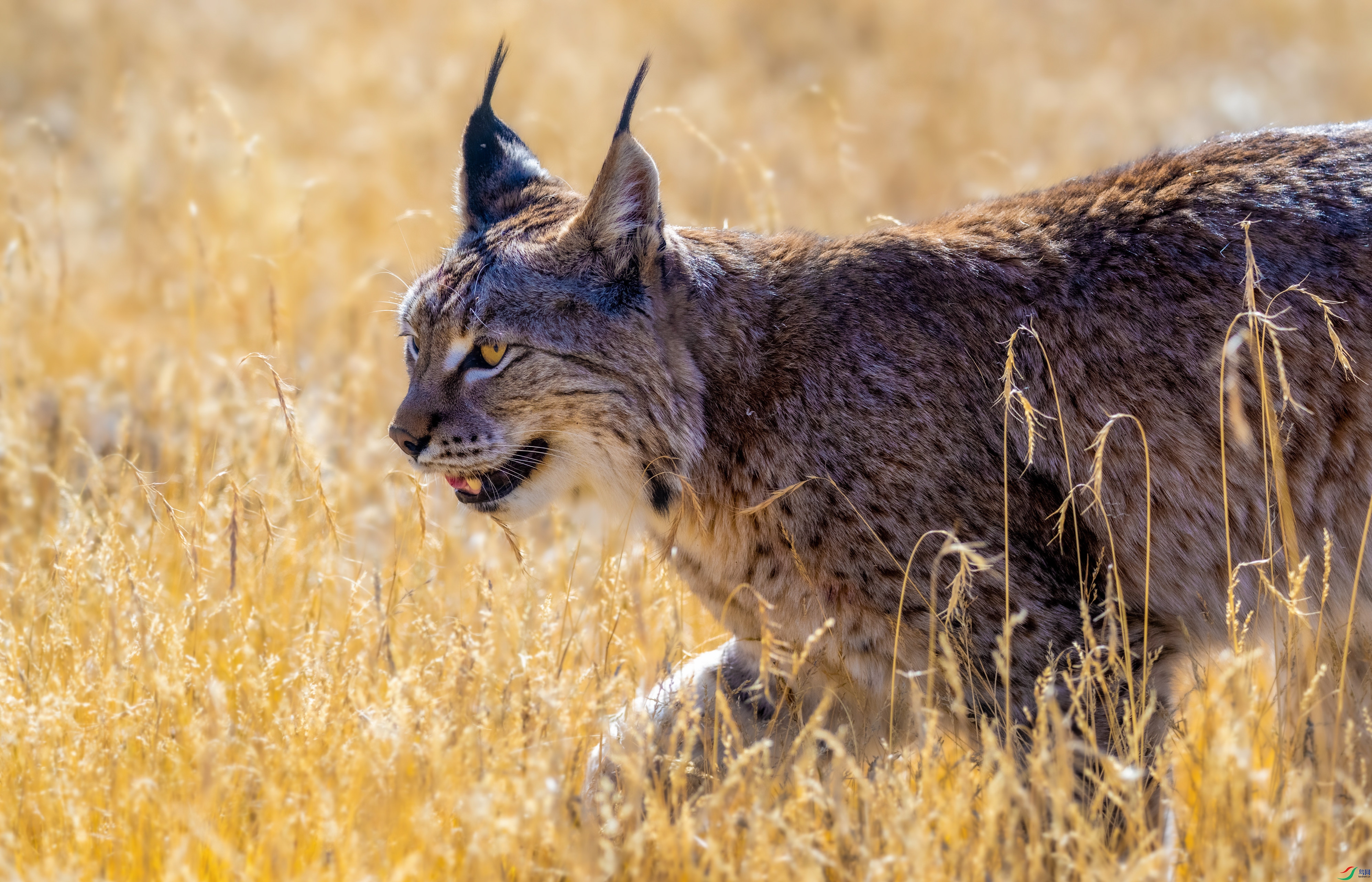 DSC_6079_1.jpg