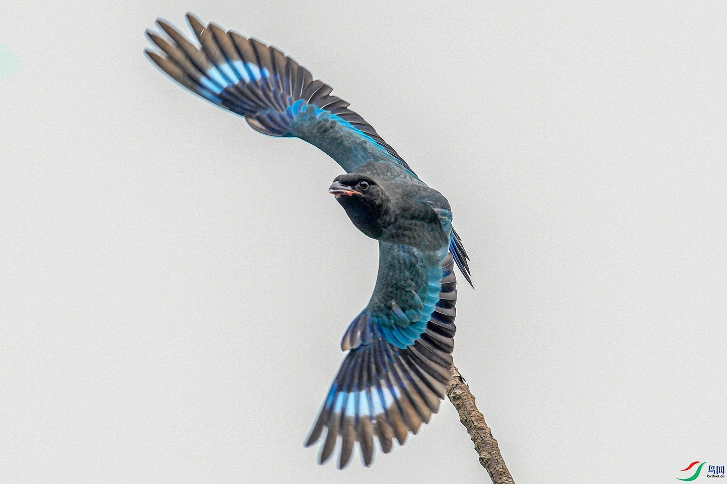 DSC_8069.jpg