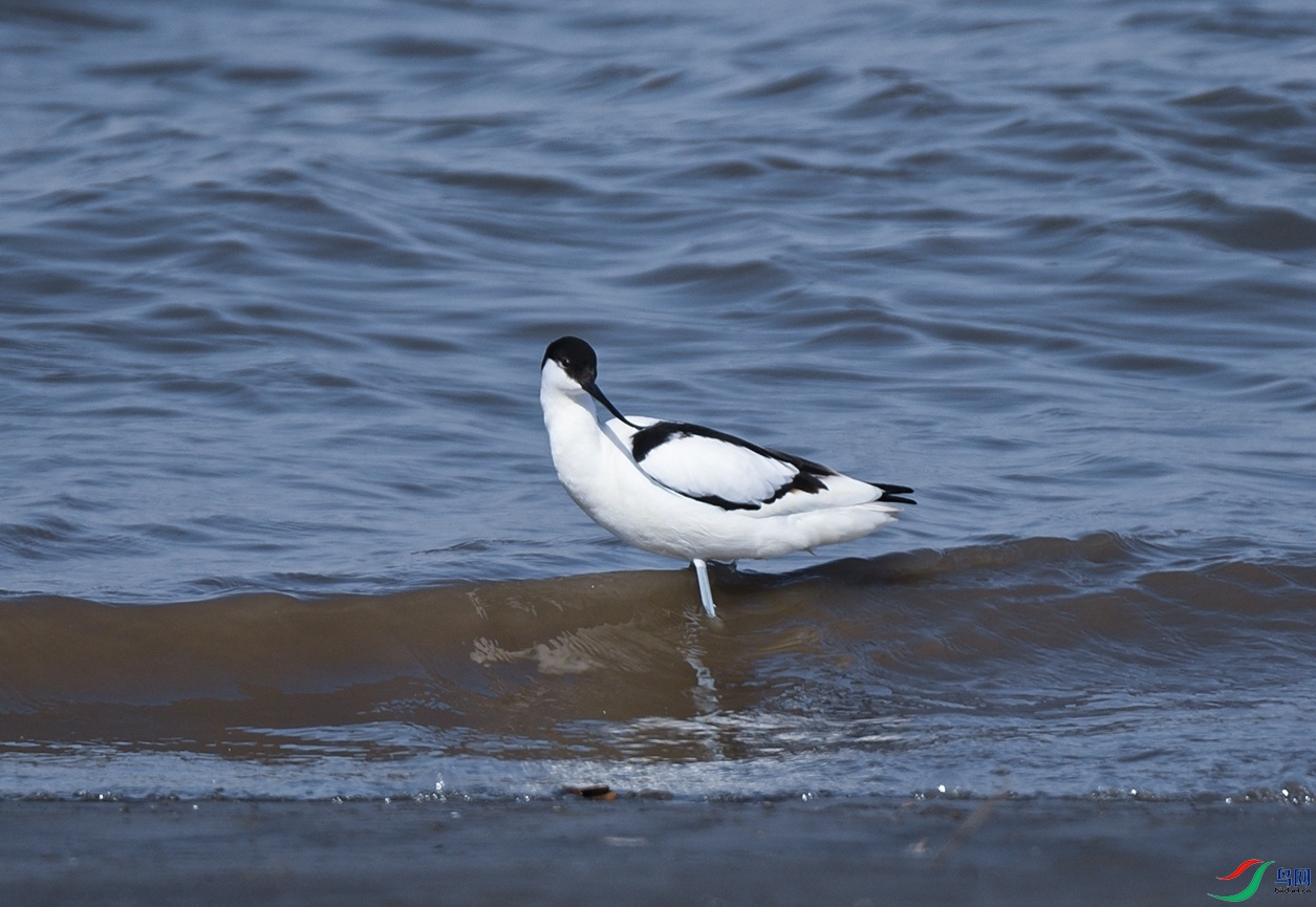 DSC_4254f_��ͼ��.jpg