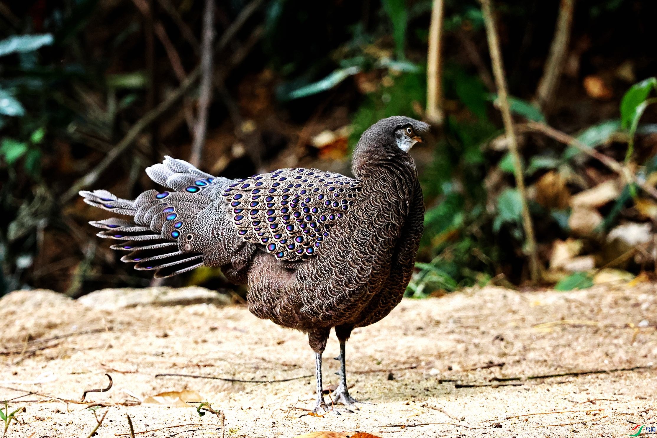 �� ��ȸ�� (13).JPG