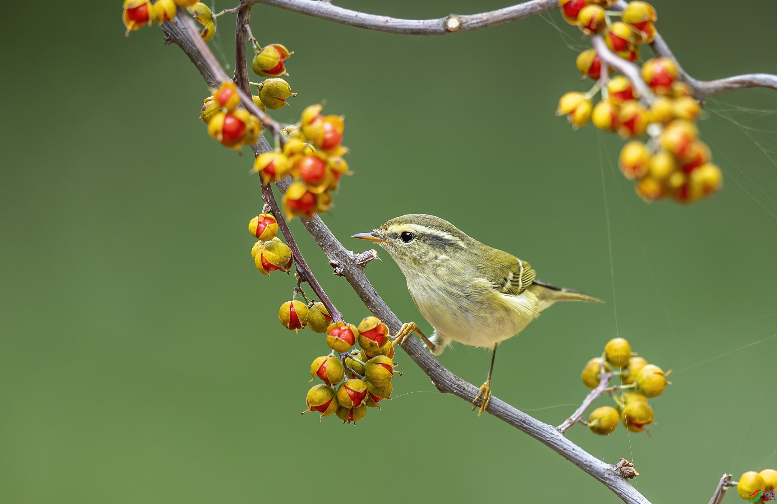 AC3I8921 ����.jpg