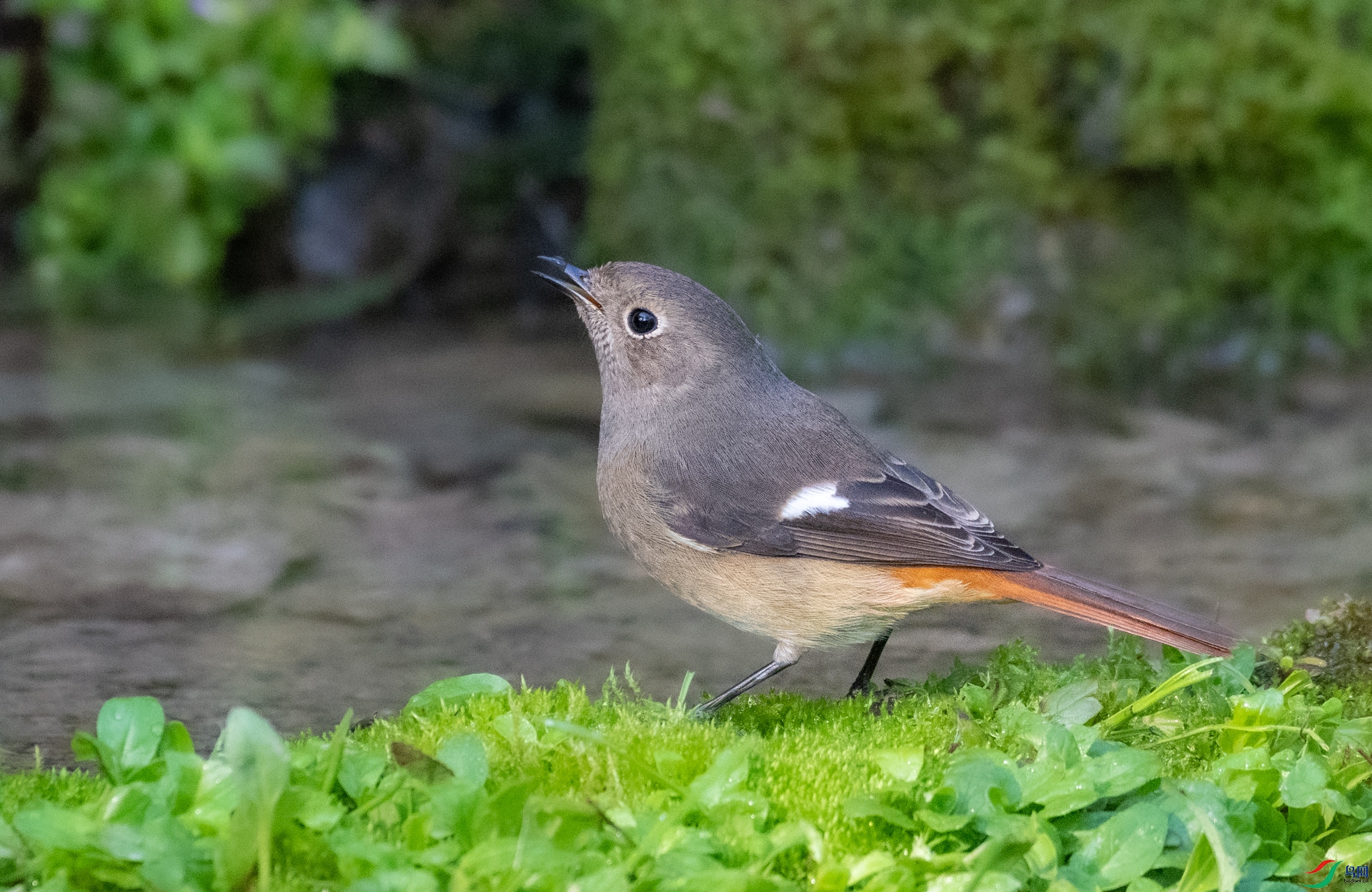 DSC_3628.jpg