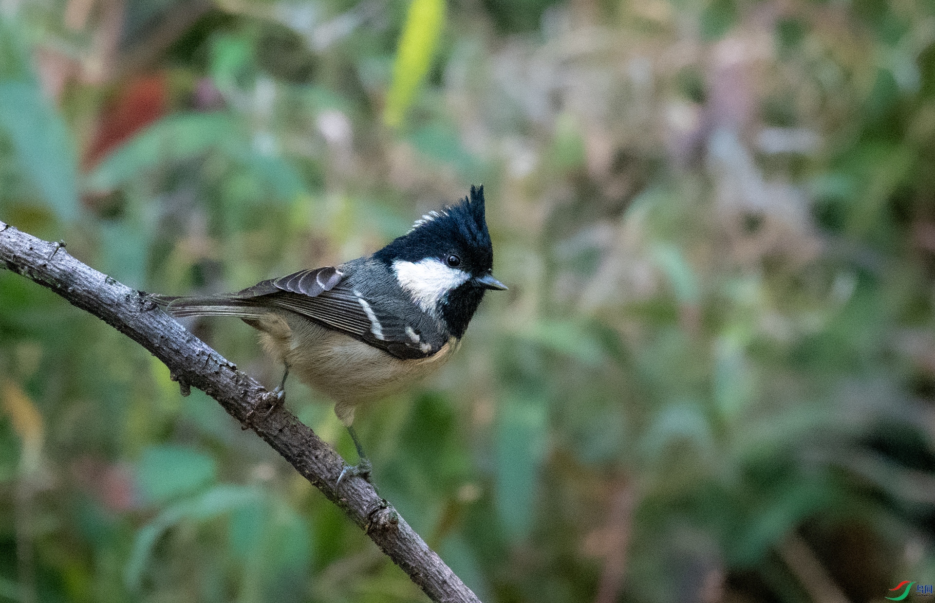 DSC_3773.jpg