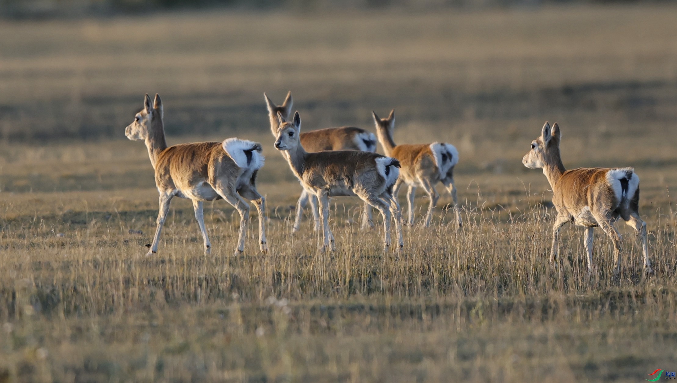 _X5A1836 - ����.JPG