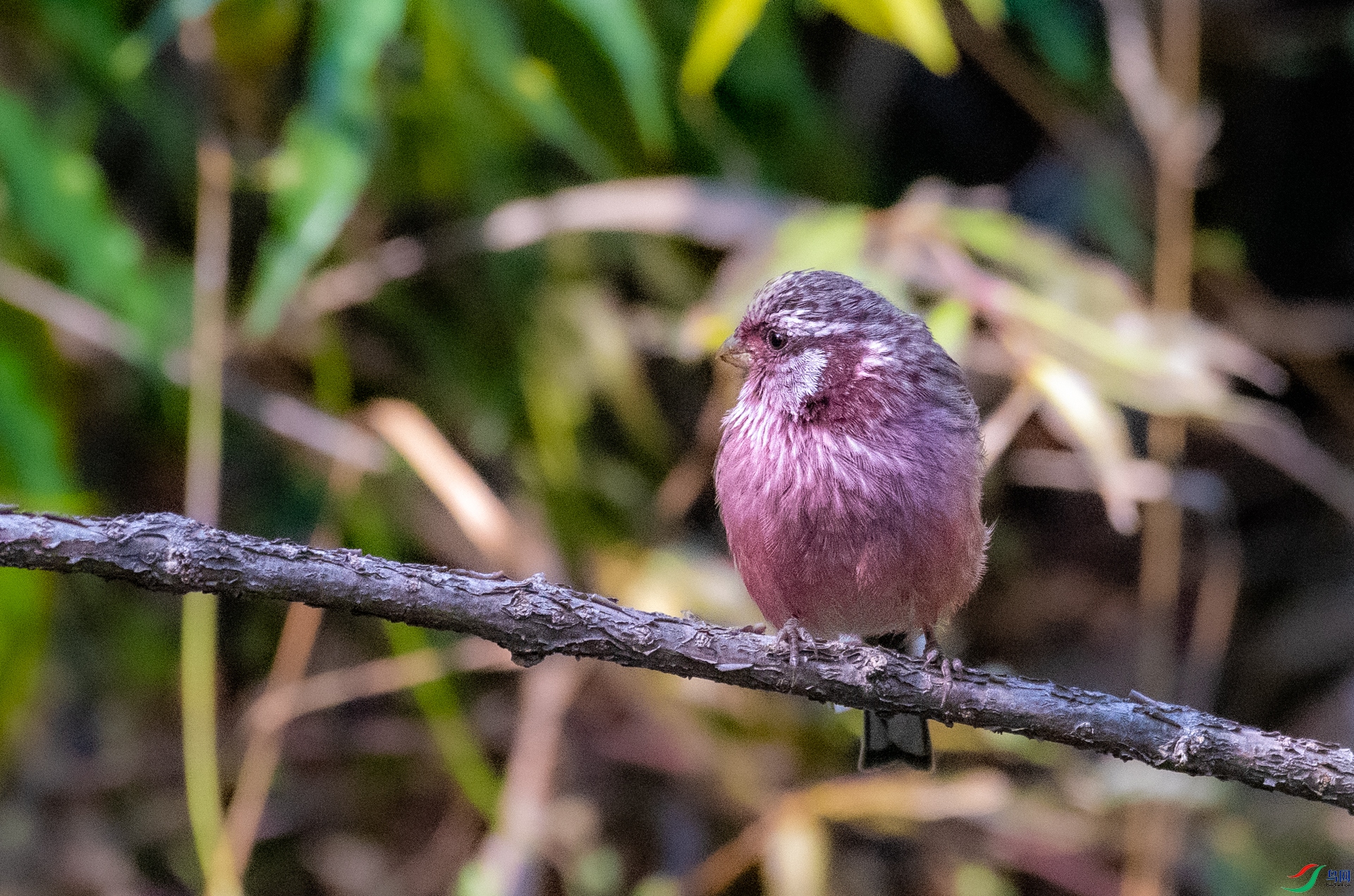 DSC_3692.jpg