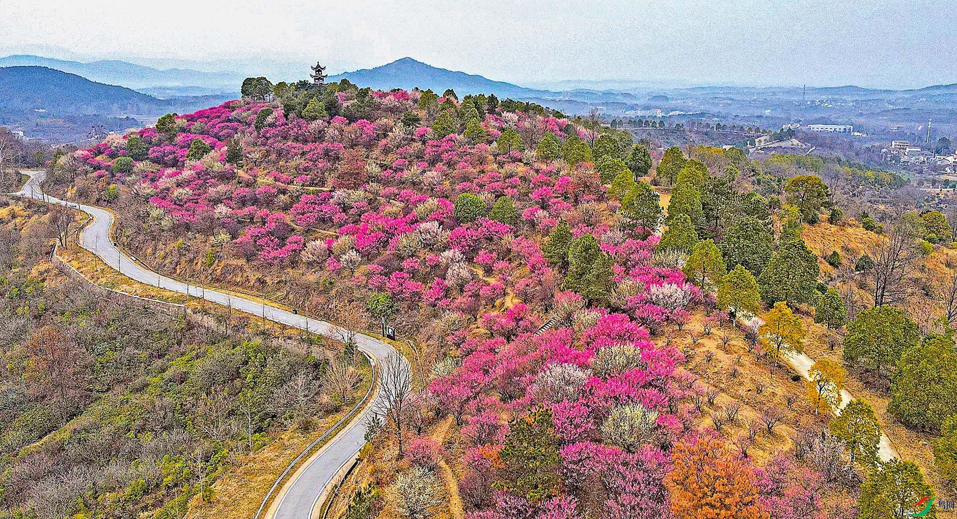 DJI_0059���� ����.jpg