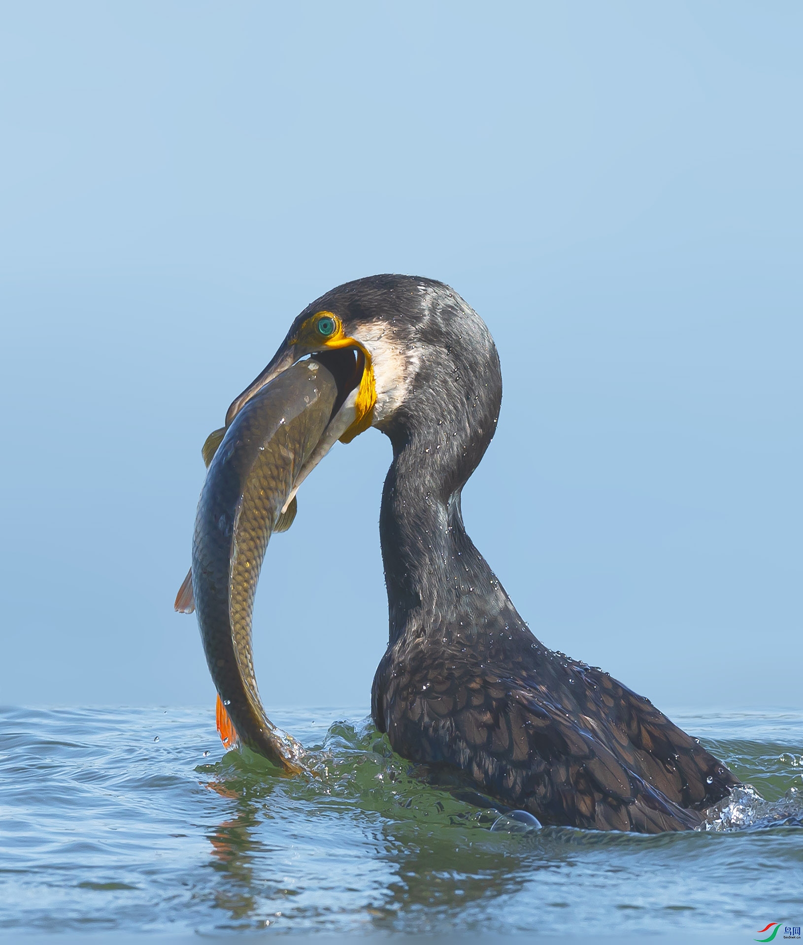 019A6921 ����.jpg