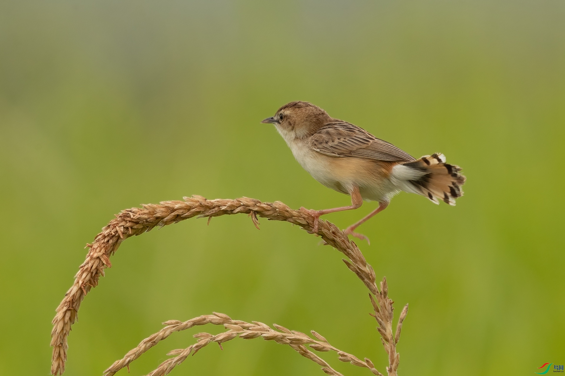 B86I8164 _����.jpg