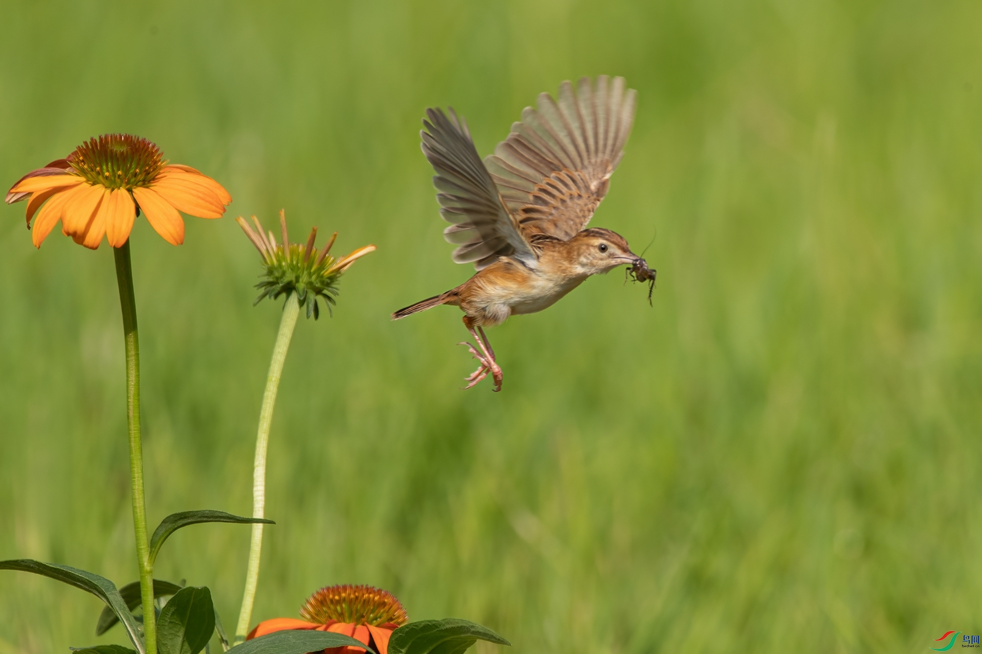 B86I4370 _����.jpg