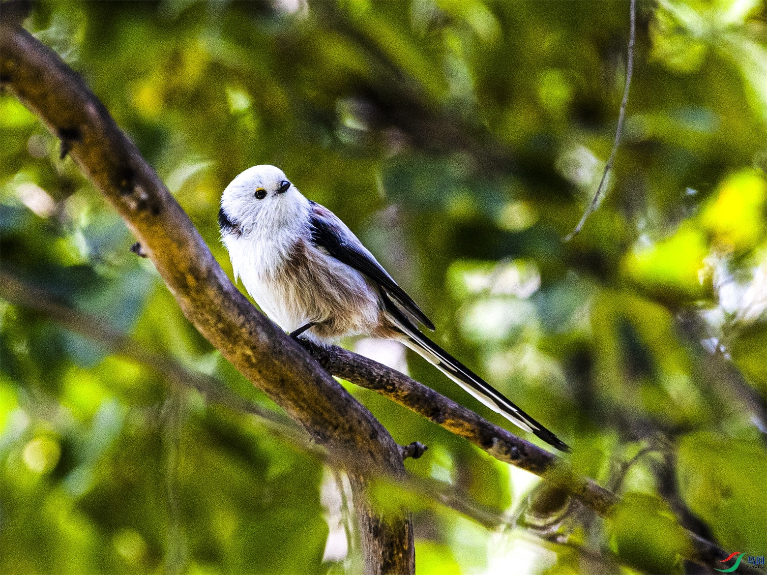 1K3A0238 ����1.jpg