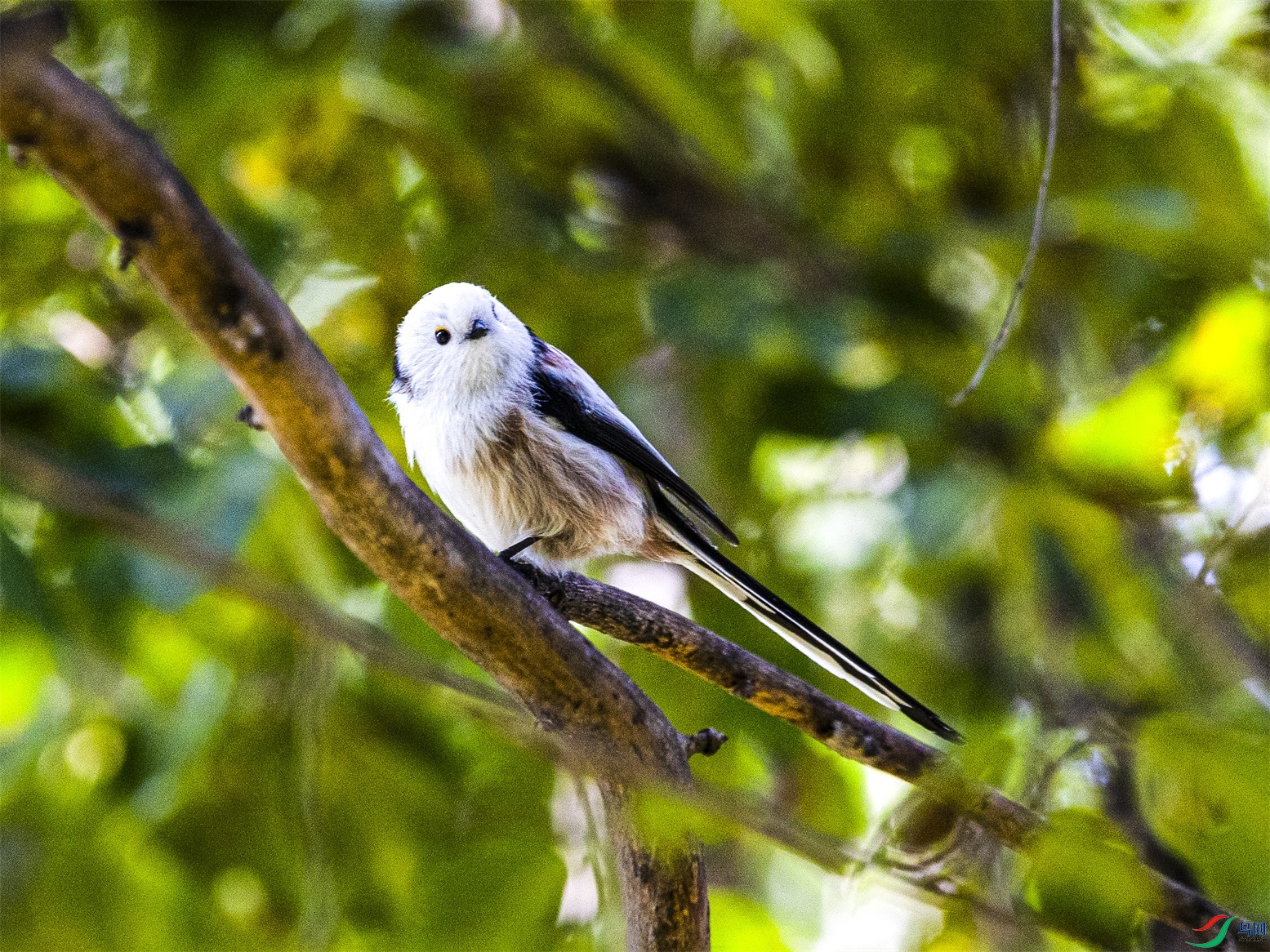 1K3A0234 ����1.jpg