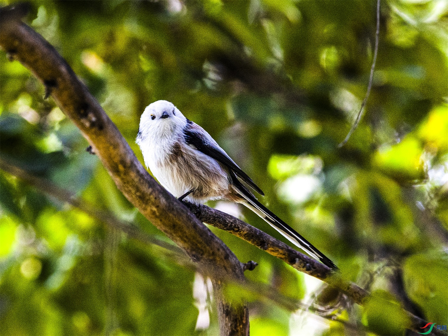 1K3A0244 ����1.jpg