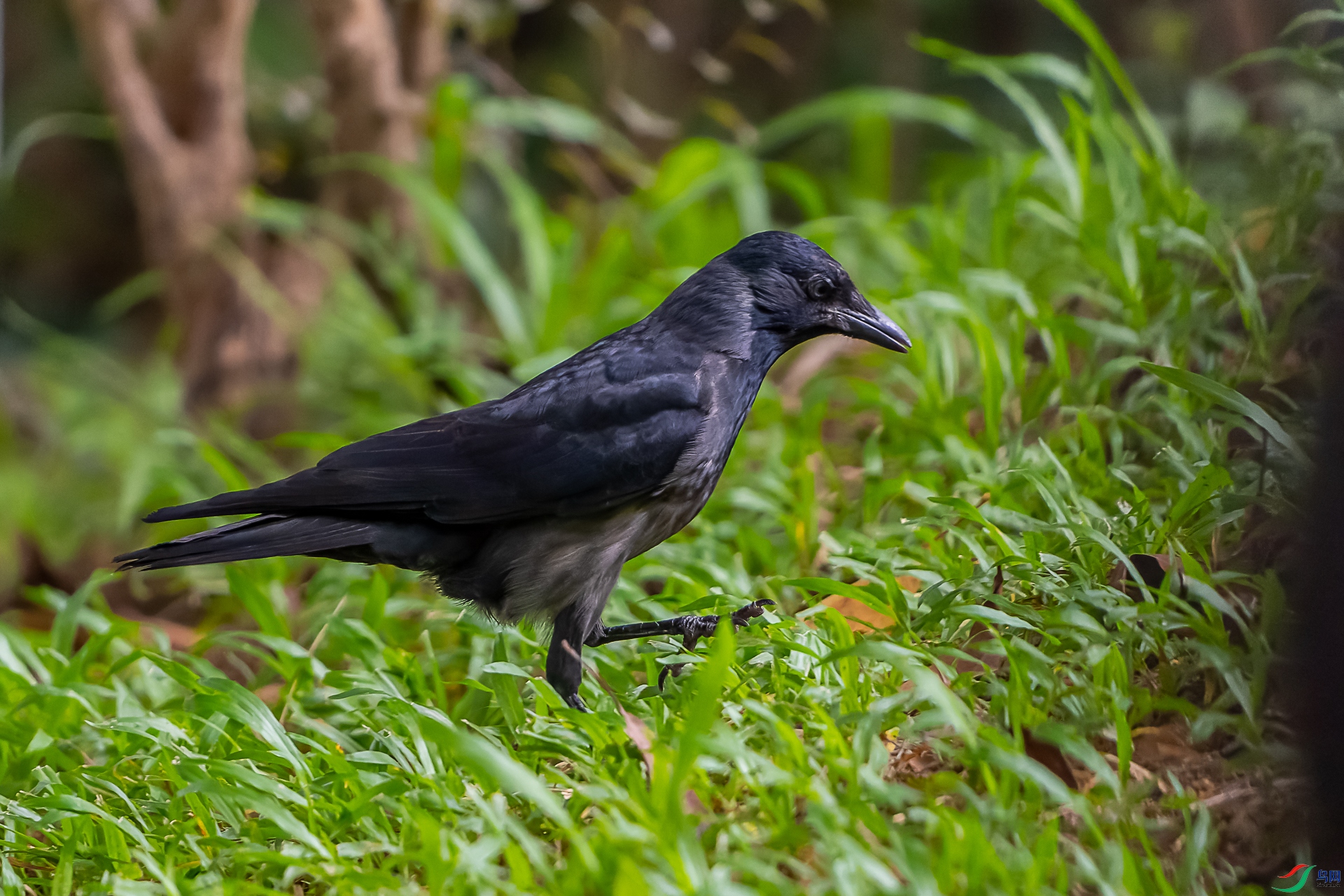 DSC07925-1.jpg