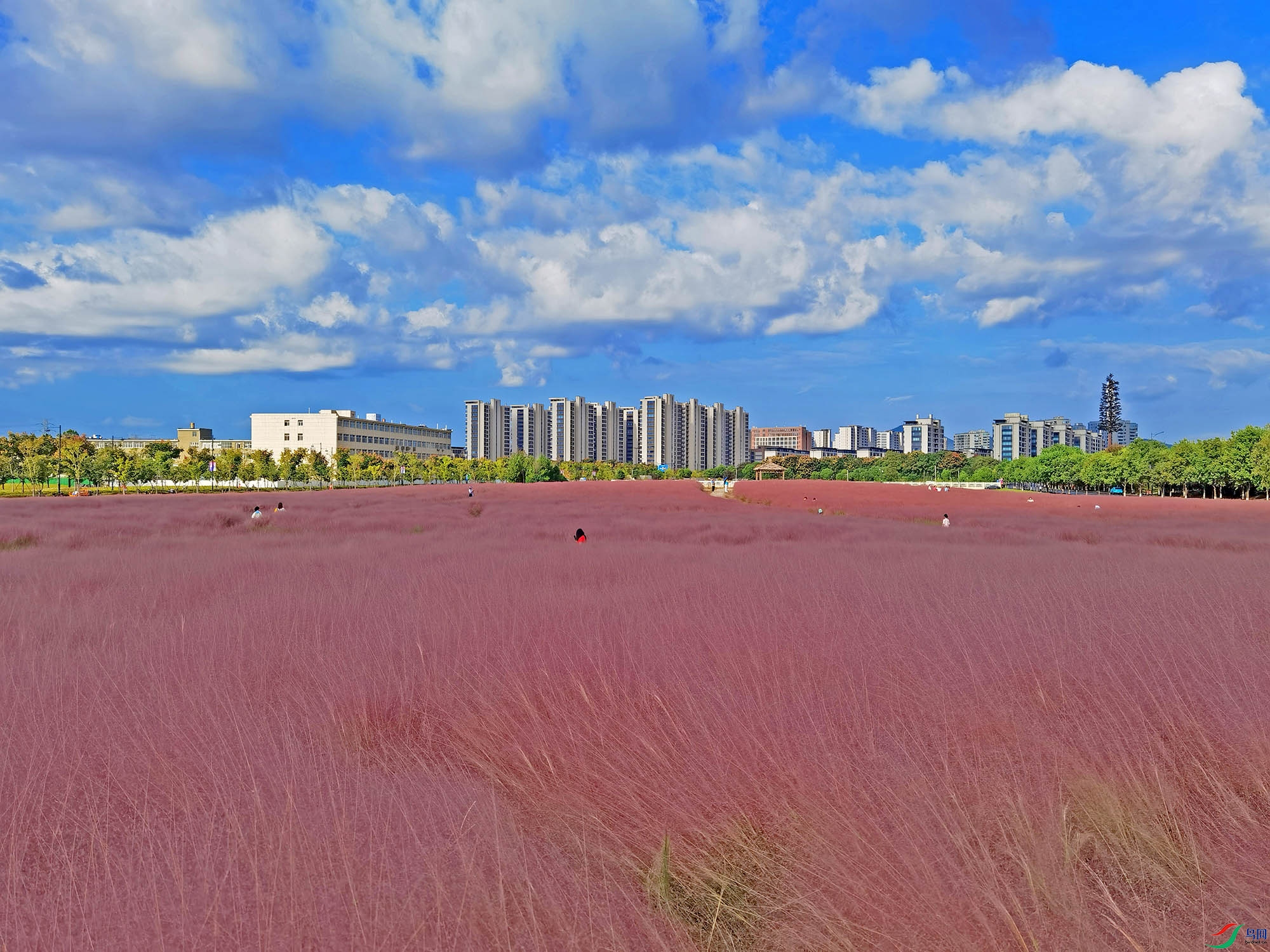 DSCN1376.jpg