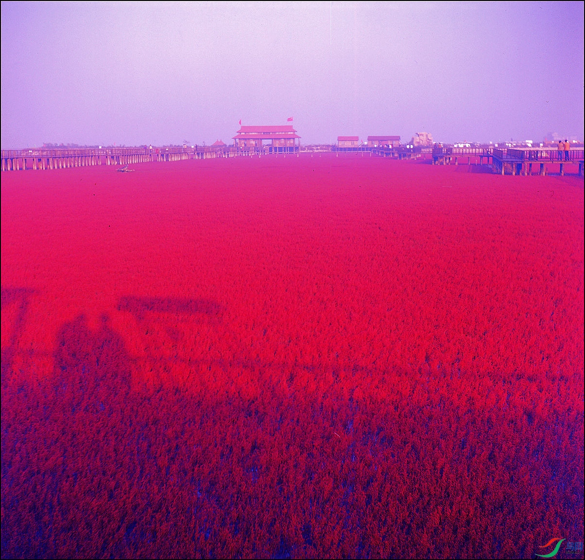 img245-�캣̲.jpg