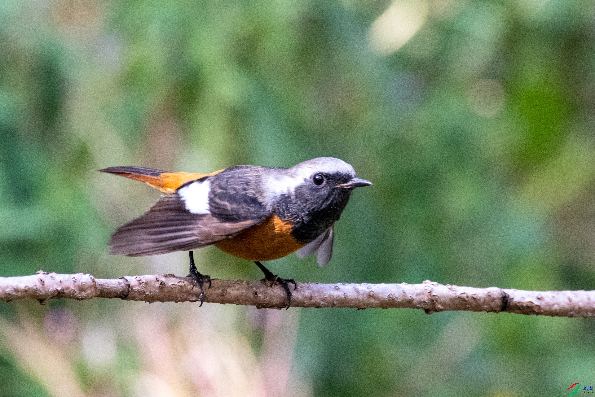 DSC_1749.jpg