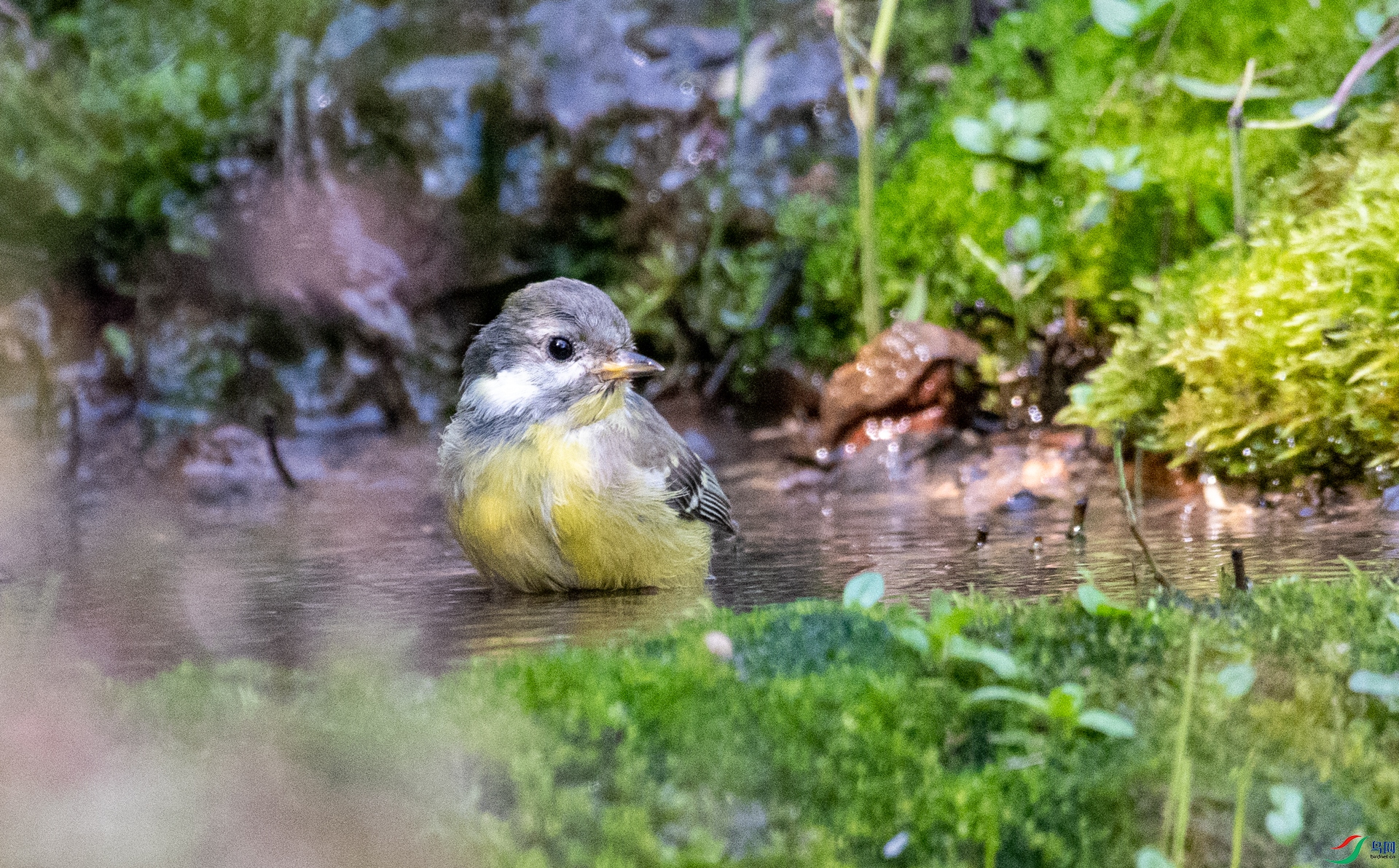 DSC_1786.jpg