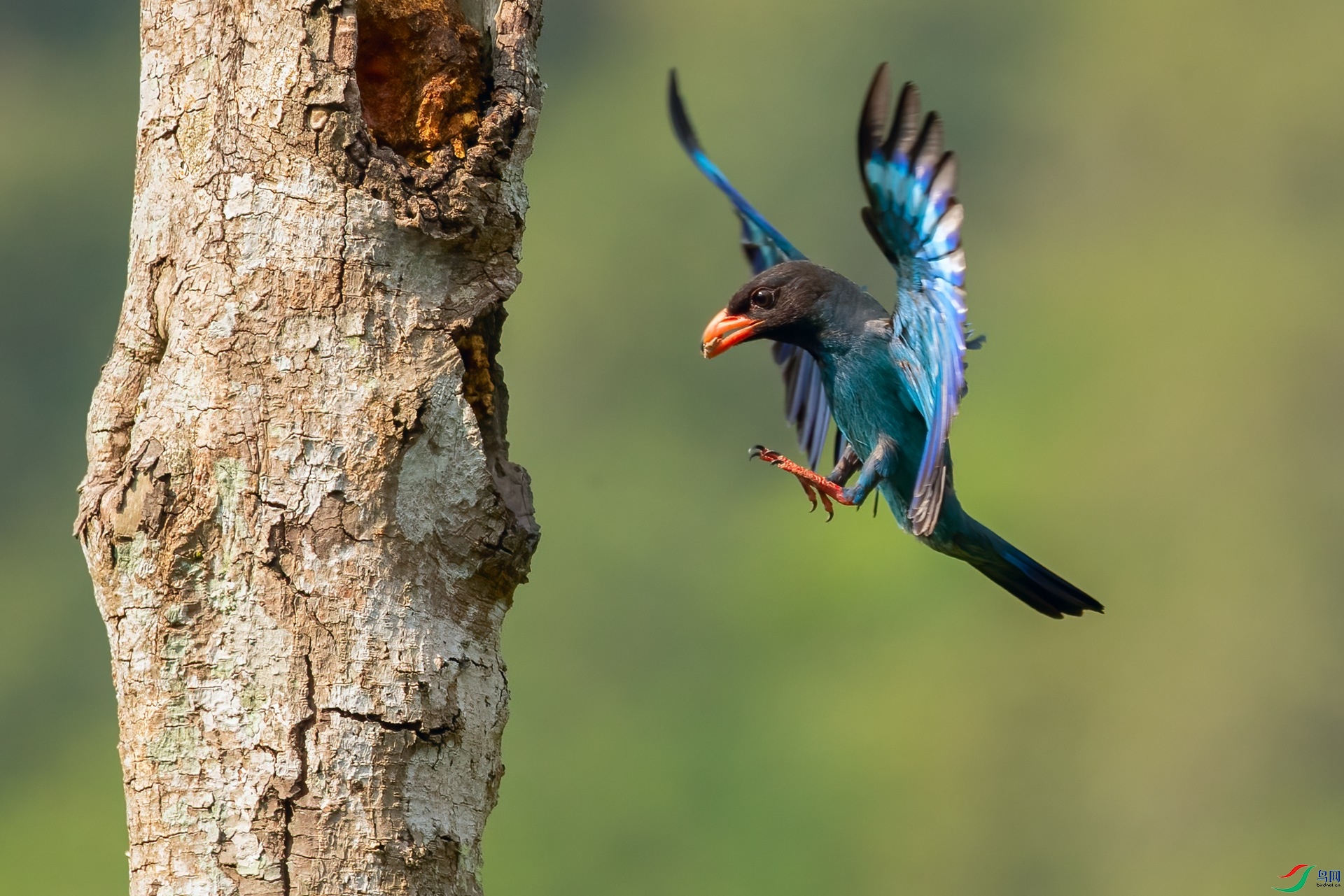 B86I6838 _����.jpg